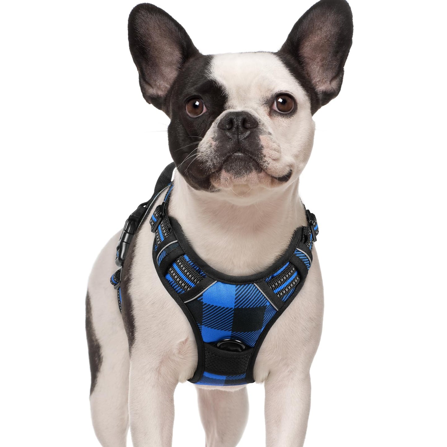rabbitgoo Dog Harness, No-Pull Pet Harness with 2 Leash Clips, Adjustable Soft Padded Vest, Reflective No-Choke Pet Oxford Vest with Easy Control Handle for Large Dogs, Purple, L