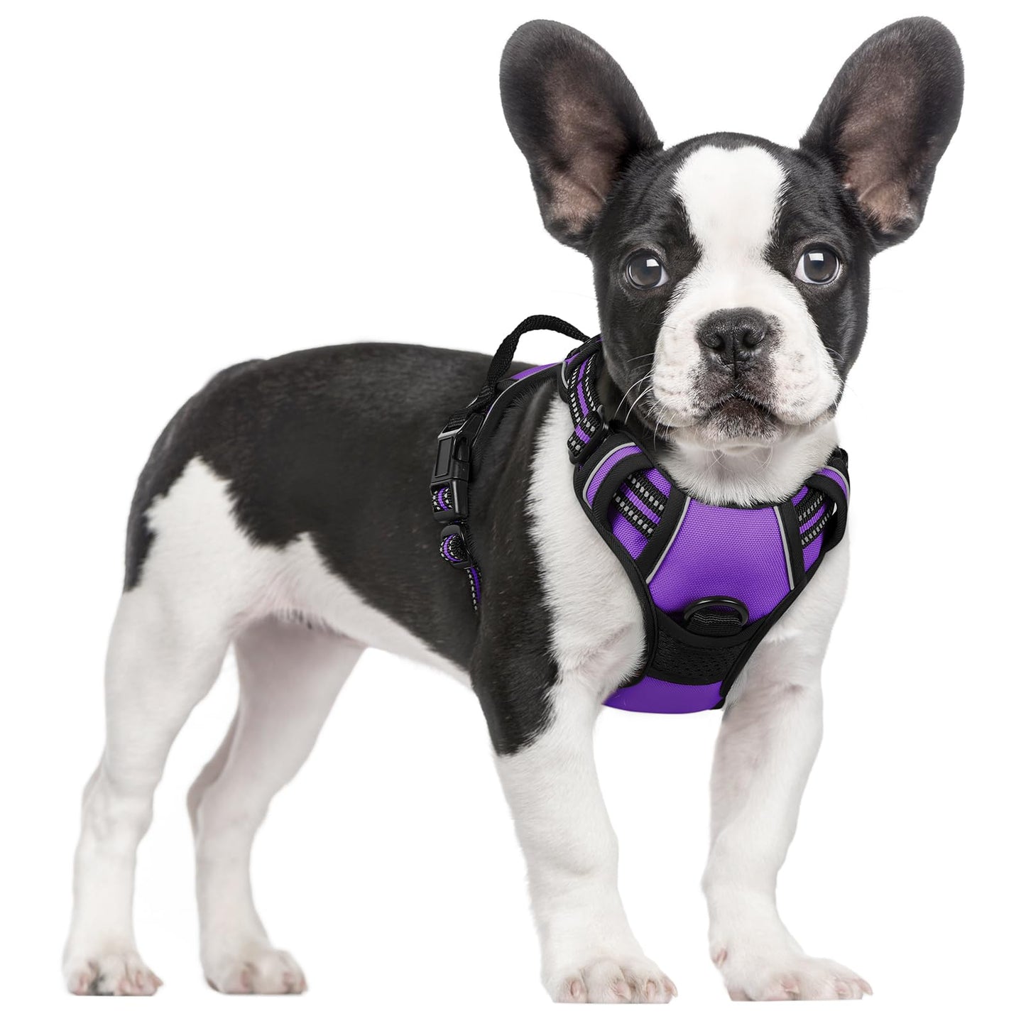 rabbitgoo Dog Harness, No-Pull Pet Harness with 2 Leash Clips, Adjustable Soft Padded Vest, Reflective No-Choke Pet Oxford Vest with Easy Control Handle for Large Dogs, Purple, L