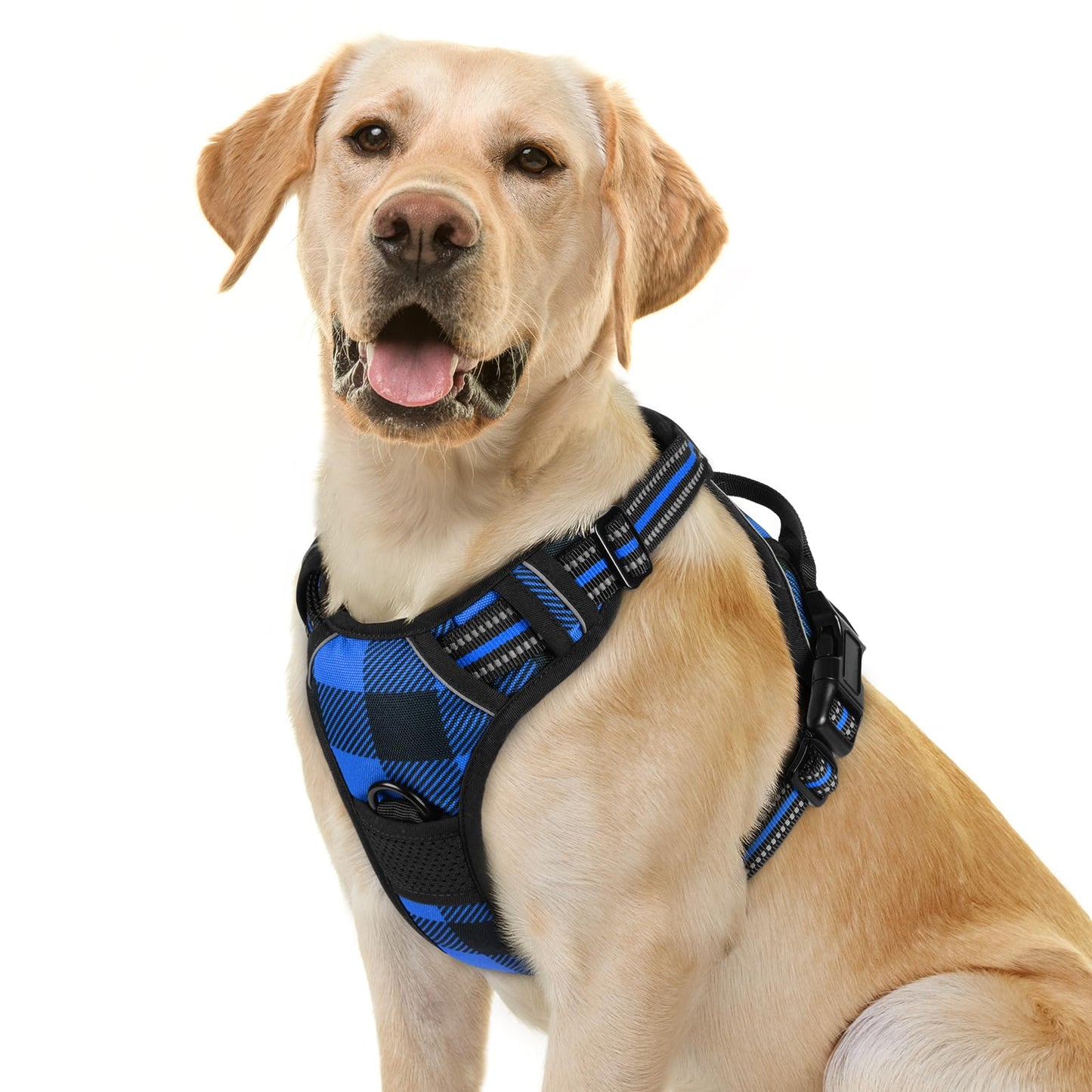 rabbitgoo Dog Harness, No-Pull Pet Harness with 2 Leash Clips, Adjustable Soft Padded Vest, Reflective No-Choke Pet Oxford Vest with Easy Control Handle for Large Dogs, Purple, L
