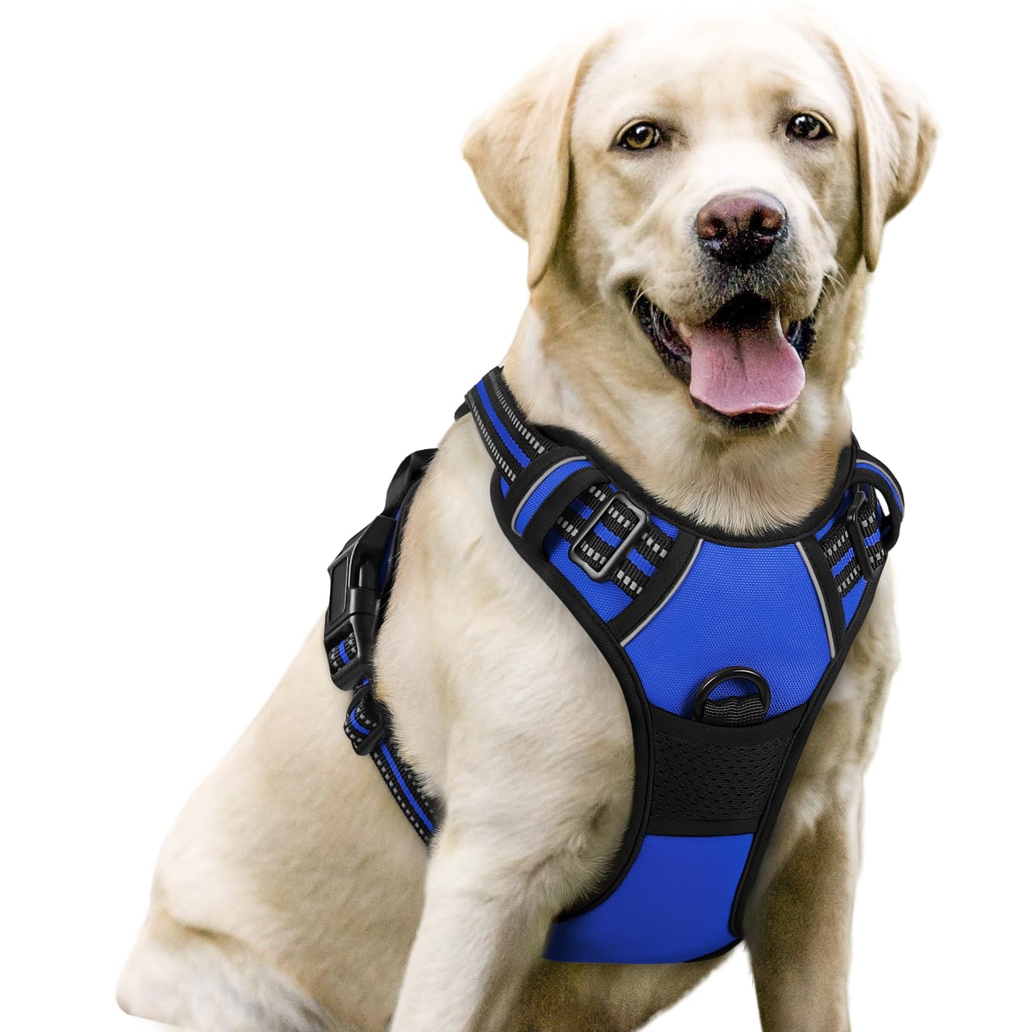 rabbitgoo Dog Harness, No-Pull Pet Harness with 2 Leash Clips, Adjustable Soft Padded Vest, Reflective No-Choke Pet Oxford Vest with Easy Control Handle for Large Dogs, Purple, L