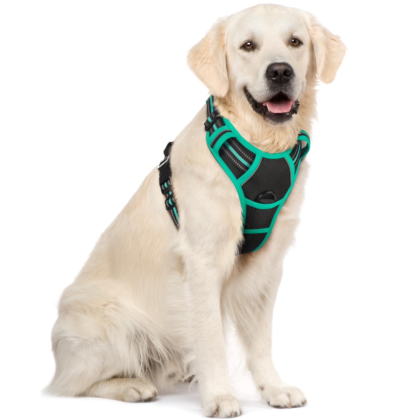 rabbitgoo Dog Harness, No-Pull Pet Harness with 2 Leash Clips, Adjustable Soft Padded Vest, Reflective No-Choke Pet Oxford Vest with Easy Control Handle for Large Dogs, Purple, L
