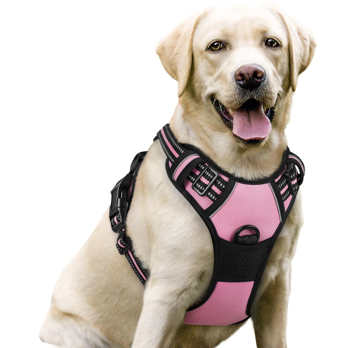 rabbitgoo Dog Harness, No-Pull Pet Harness with 2 Leash Clips, Adjustable Soft Padded Vest, Reflective No-Choke Pet Oxford Vest with Easy Control Handle for Large Dogs, Purple, L