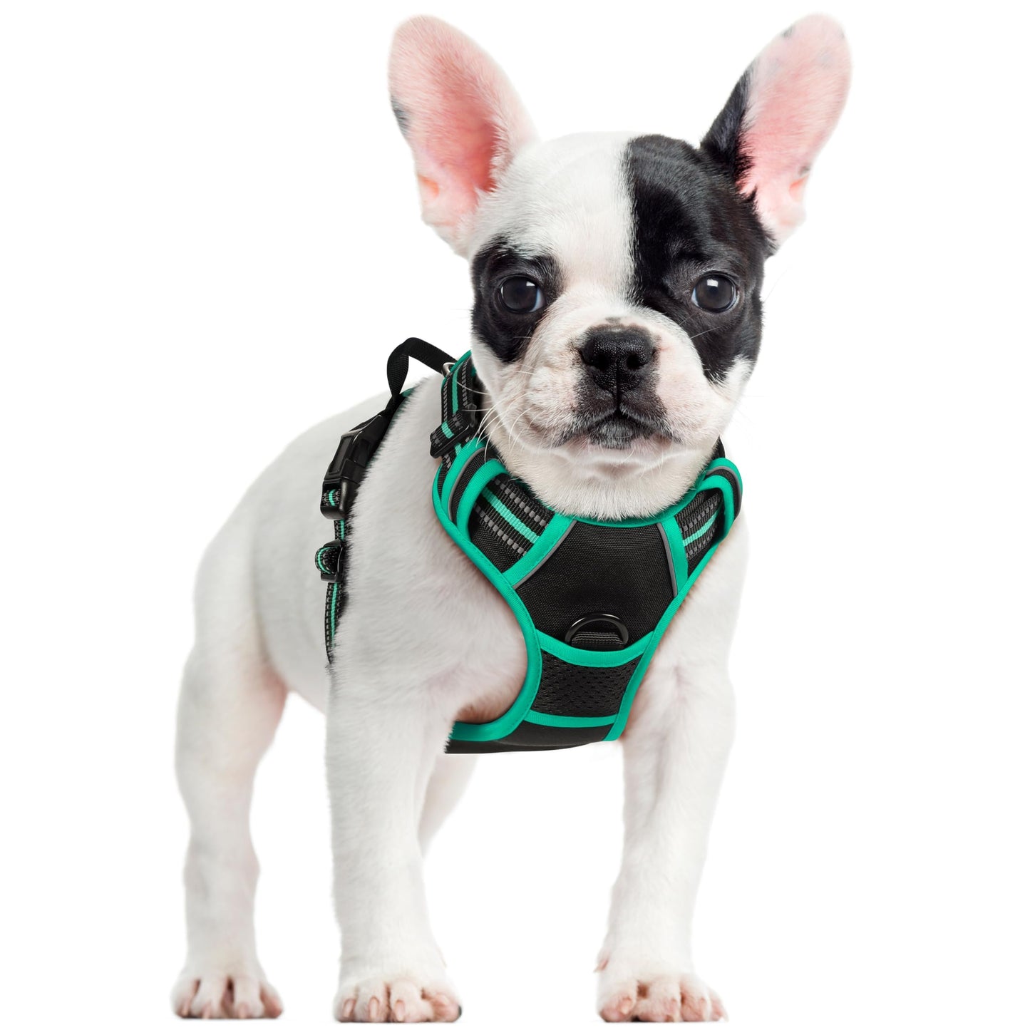 rabbitgoo Dog Harness, No-Pull Pet Harness with 2 Leash Clips, Adjustable Soft Padded Vest, Reflective No-Choke Pet Oxford Vest with Easy Control Handle for Large Dogs, Purple, L