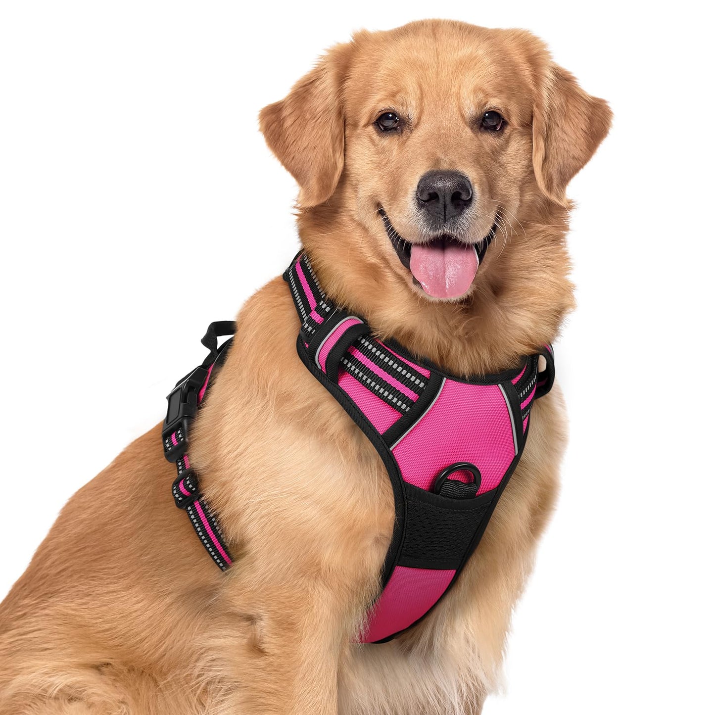 rabbitgoo Dog Harness, No-Pull Pet Harness with 2 Leash Clips, Adjustable Soft Padded Vest, Reflective No-Choke Pet Oxford Vest with Easy Control Handle for Large Dogs, Purple, L
