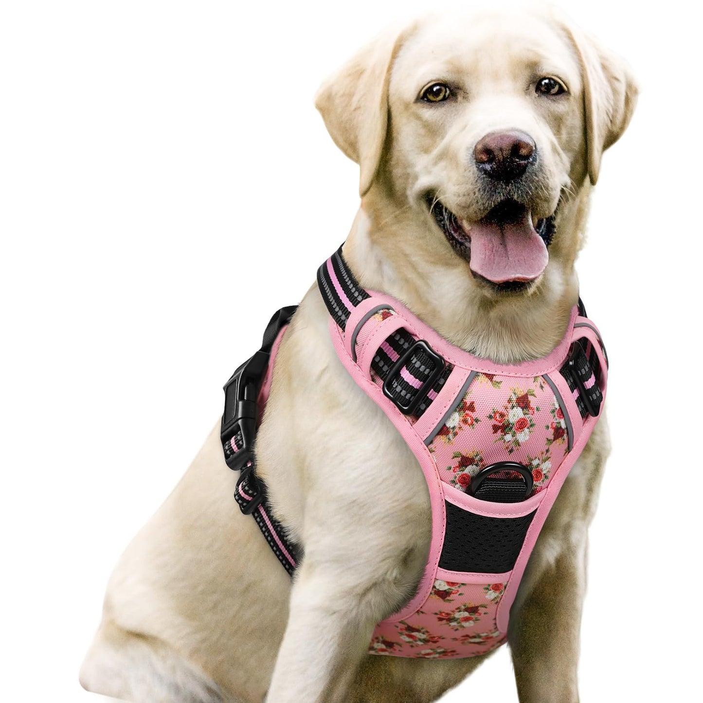 rabbitgoo Dog Harness, No-Pull Pet Harness with 2 Leash Clips, Adjustable Soft Padded Vest, Reflective No-Choke Pet Oxford Vest with Easy Control Handle for Large Dogs, Purple, L