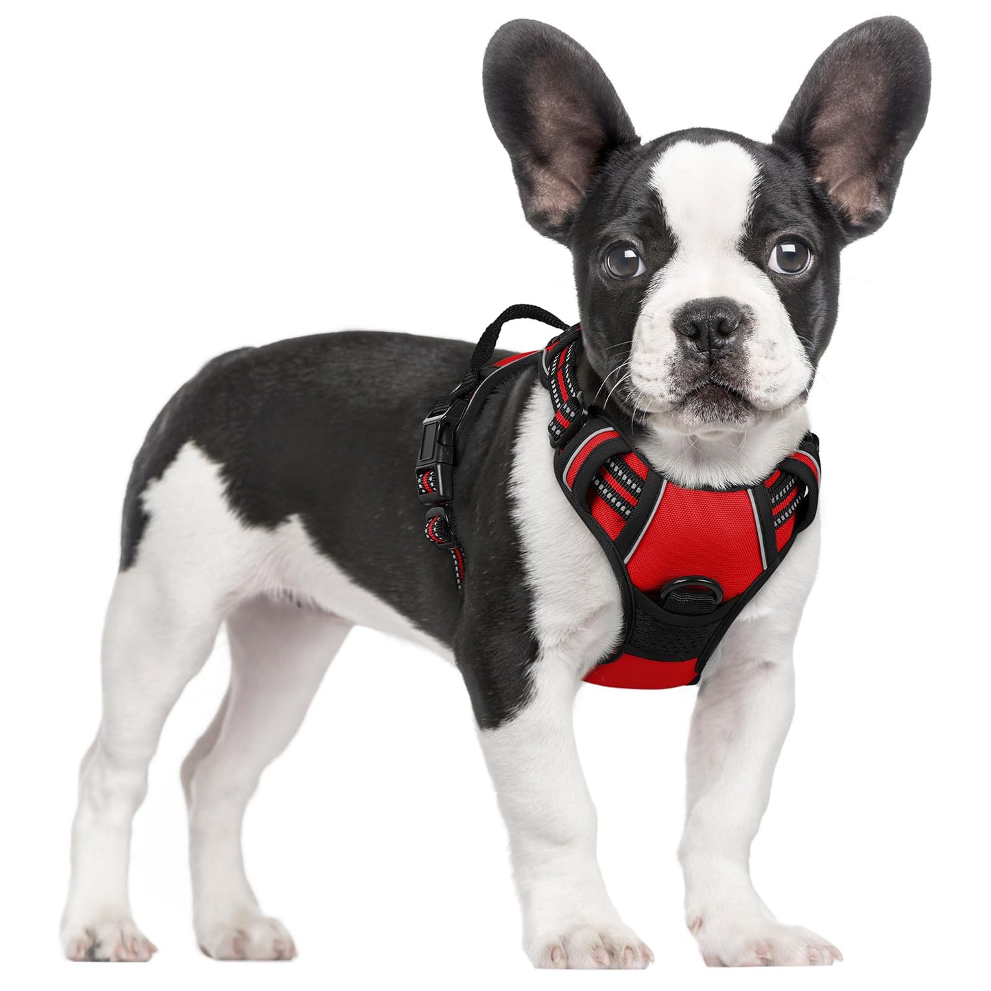 rabbitgoo Dog Harness, No-Pull Pet Harness with 2 Leash Clips, Adjustable Soft Padded Vest, Reflective No-Choke Pet Oxford Vest with Easy Control Handle for Large Dogs, Purple, L