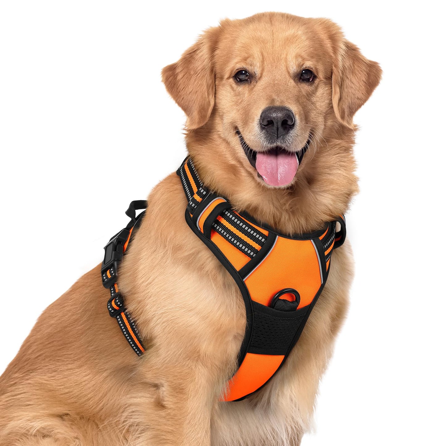 rabbitgoo Dog Harness, No-Pull Pet Harness with 2 Leash Clips, Adjustable Soft Padded Vest, Reflective No-Choke Pet Oxford Vest with Easy Control Handle for Large Dogs, Purple, L