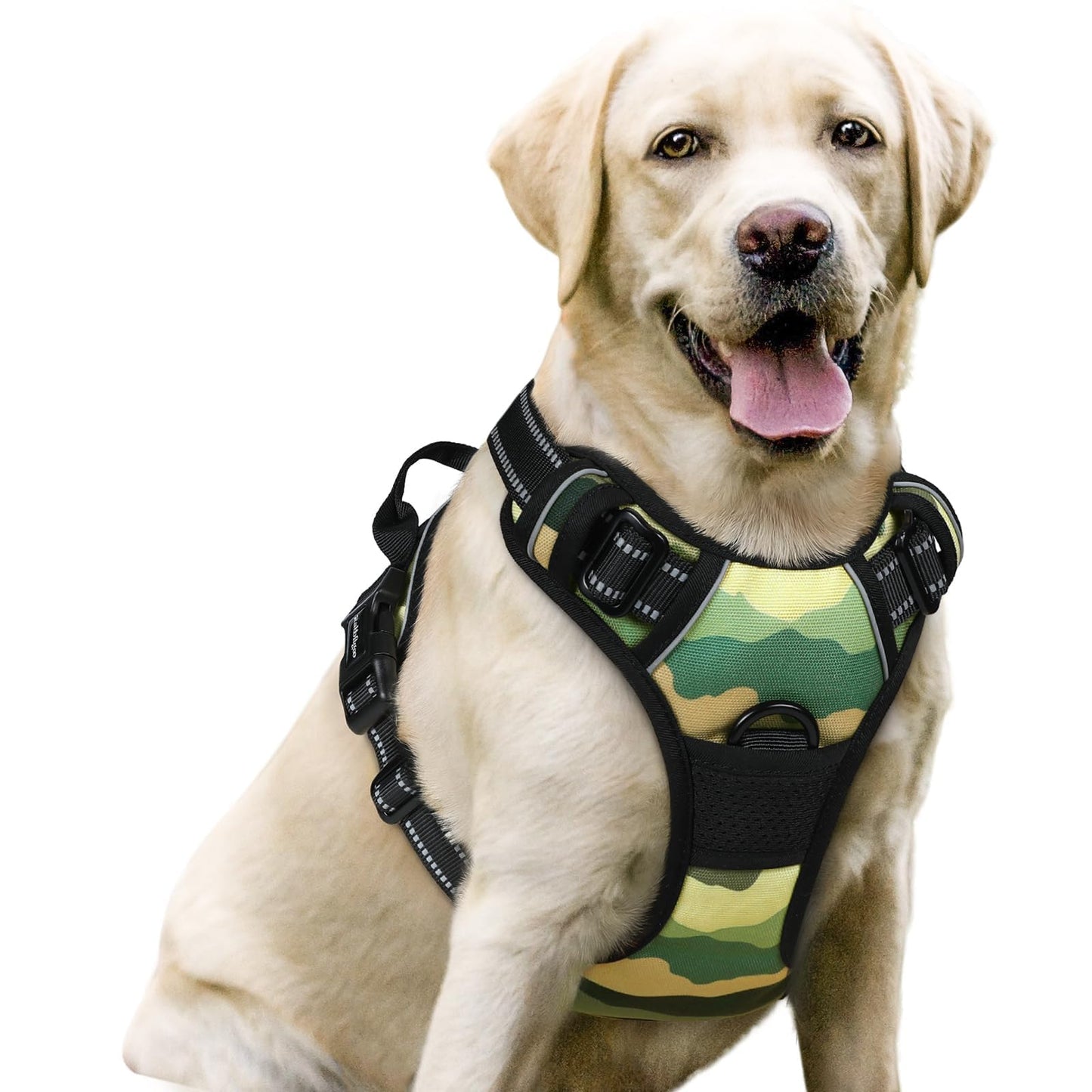 rabbitgoo Dog Harness, No-Pull Pet Harness with 2 Leash Clips, Adjustable Soft Padded Vest, Reflective No-Choke Pet Oxford Vest with Easy Control Handle for Large Dogs, Purple, L
