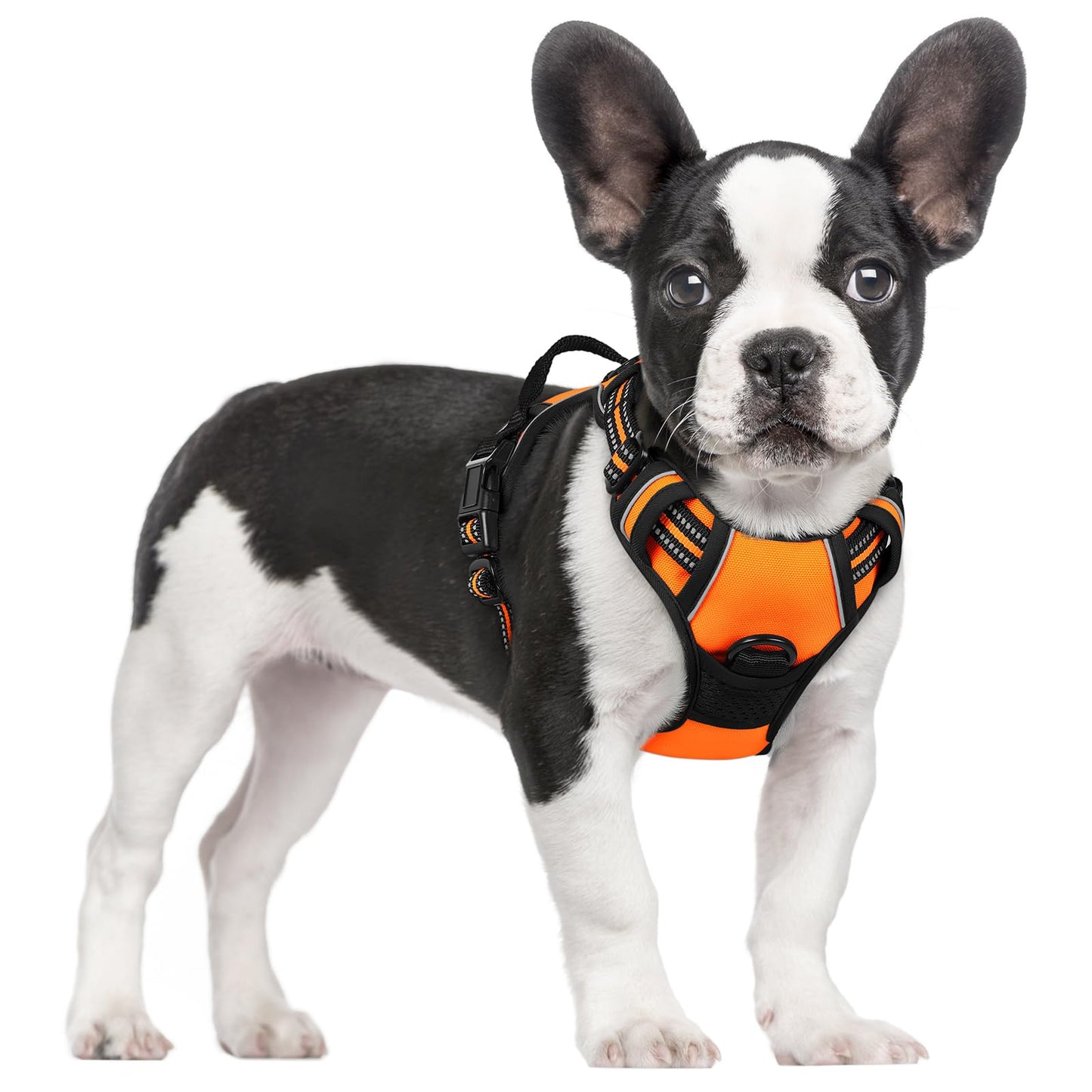rabbitgoo Dog Harness, No-Pull Pet Harness with 2 Leash Clips, Adjustable Soft Padded Vest, Reflective No-Choke Pet Oxford Vest with Easy Control Handle for Large Dogs, Purple, L