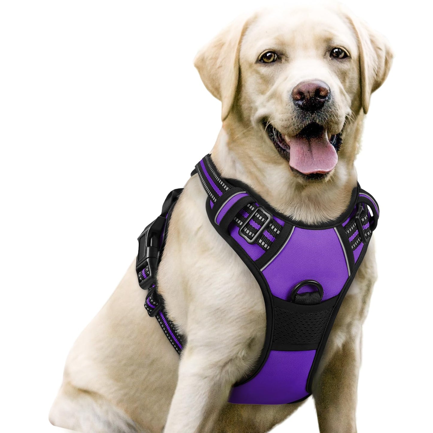 rabbitgoo Dog Harness, No-Pull Pet Harness with 2 Leash Clips, Adjustable Soft Padded Vest, Reflective No-Choke Pet Oxford Vest with Easy Control Handle for Large Dogs, Purple, L