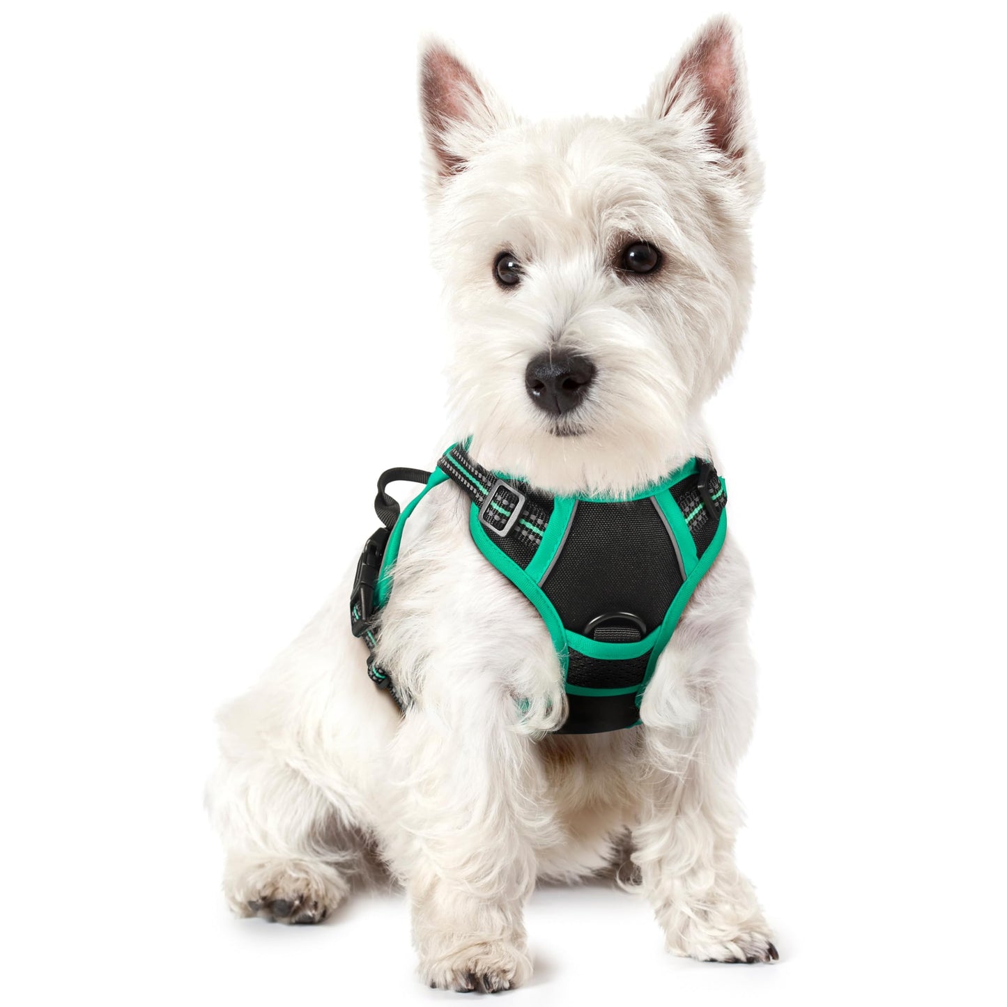 rabbitgoo Dog Harness, No-Pull Pet Harness with 2 Leash Clips, Adjustable Soft Padded Vest, Reflective No-Choke Pet Oxford Vest with Easy Control Handle for Large Dogs, Purple, L