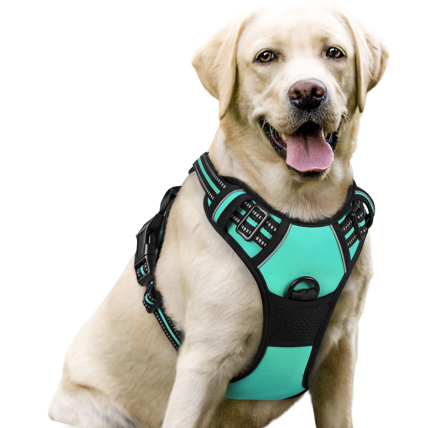 rabbitgoo Dog Harness, No-Pull Pet Harness with 2 Leash Clips, Adjustable Soft Padded Vest, Reflective No-Choke Pet Oxford Vest with Easy Control Handle for Large Dogs, Purple, L