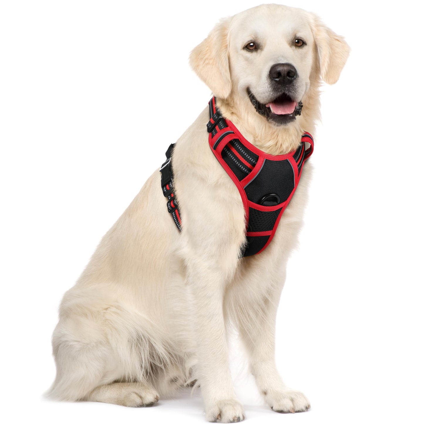 rabbitgoo Dog Harness, No-Pull Pet Harness with 2 Leash Clips, Adjustable Soft Padded Vest, Reflective No-Choke Pet Oxford Vest with Easy Control Handle for Large Dogs, Purple, L