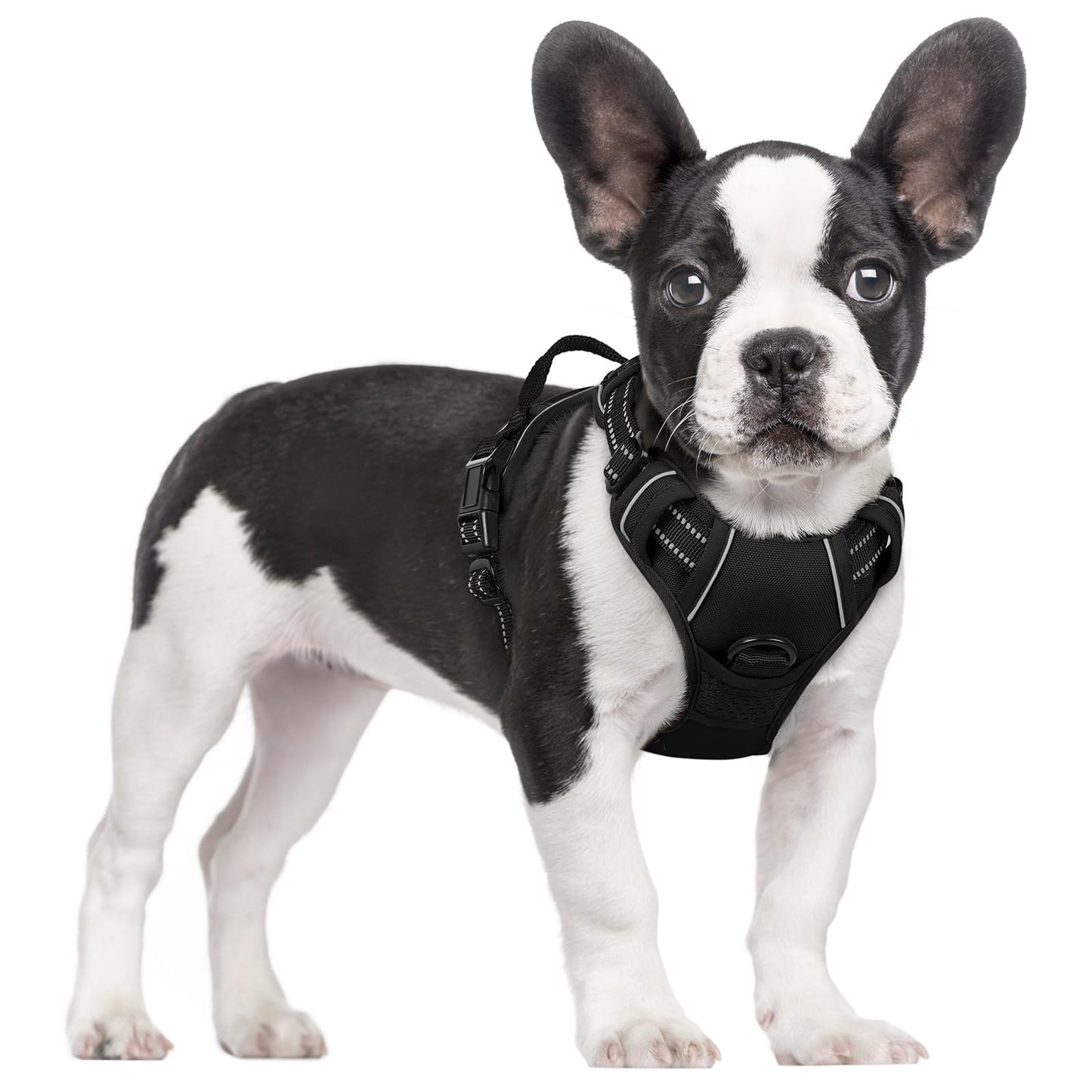 rabbitgoo Dog Harness, No-Pull Pet Harness with 2 Leash Clips, Adjustable Soft Padded Vest, Reflective No-Choke Pet Oxford Vest with Easy Control Handle for Large Dogs, Purple, L