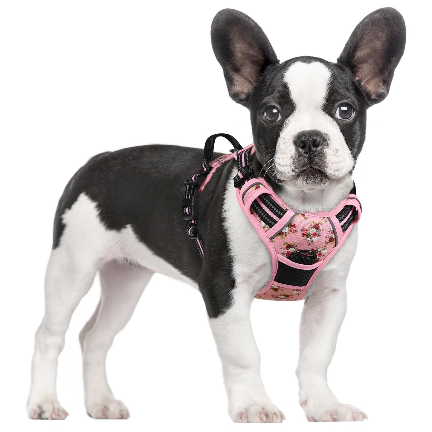 rabbitgoo Dog Harness, No-Pull Pet Harness with 2 Leash Clips, Adjustable Soft Padded Vest, Reflective No-Choke Pet Oxford Vest with Easy Control Handle for Large Dogs, Purple, L