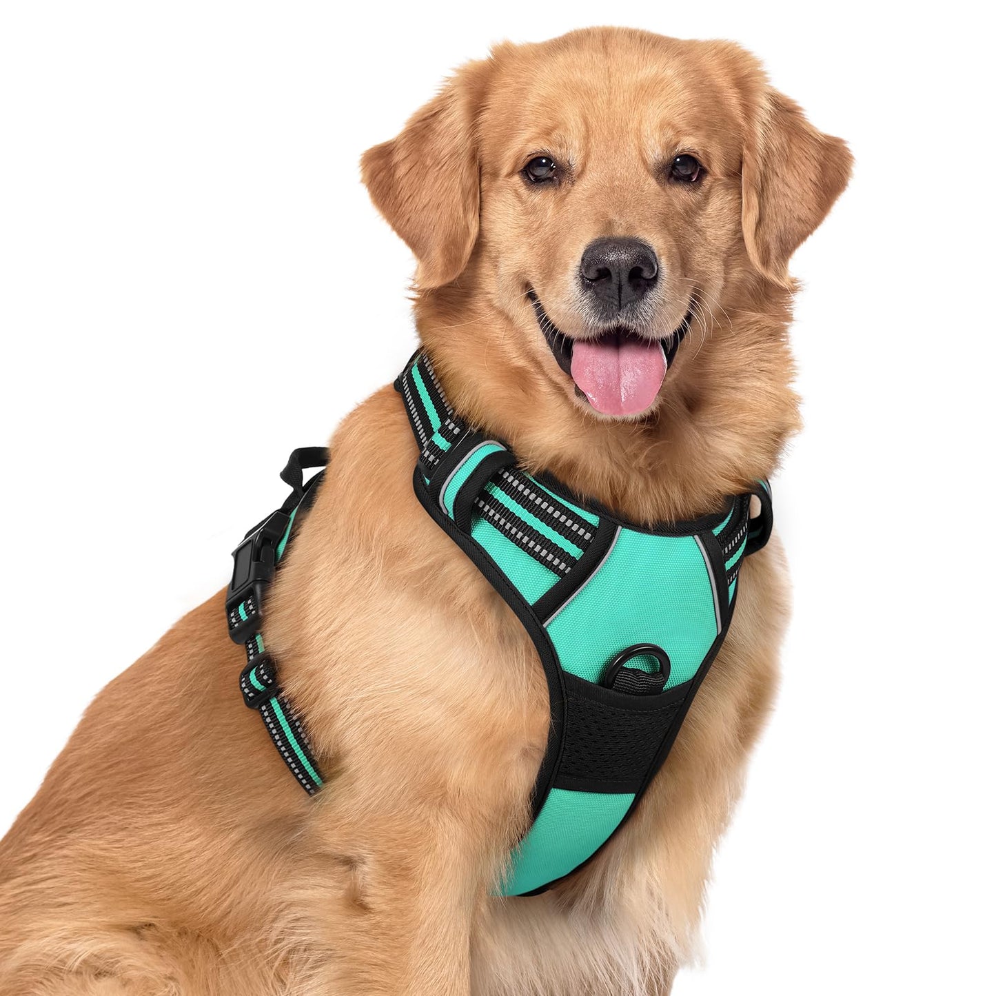 rabbitgoo Dog Harness, No-Pull Pet Harness with 2 Leash Clips, Adjustable Soft Padded Vest, Reflective No-Choke Pet Oxford Vest with Easy Control Handle for Large Dogs, Purple, L