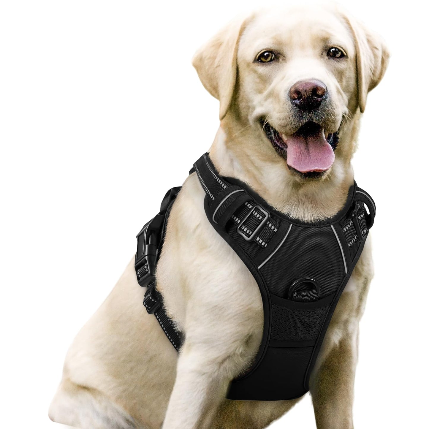 rabbitgoo Dog Harness, No-Pull Pet Harness with 2 Leash Clips, Adjustable Soft Padded Vest, Reflective No-Choke Pet Oxford Vest with Easy Control Handle for Large Dogs, Purple, L