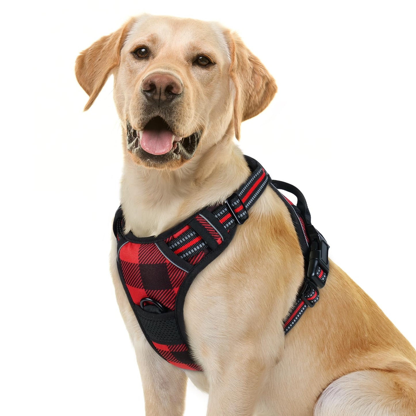 rabbitgoo Dog Harness, No-Pull Pet Harness with 2 Leash Clips, Adjustable Soft Padded Vest, Reflective No-Choke Pet Oxford Vest with Easy Control Handle for Large Dogs, Purple, L