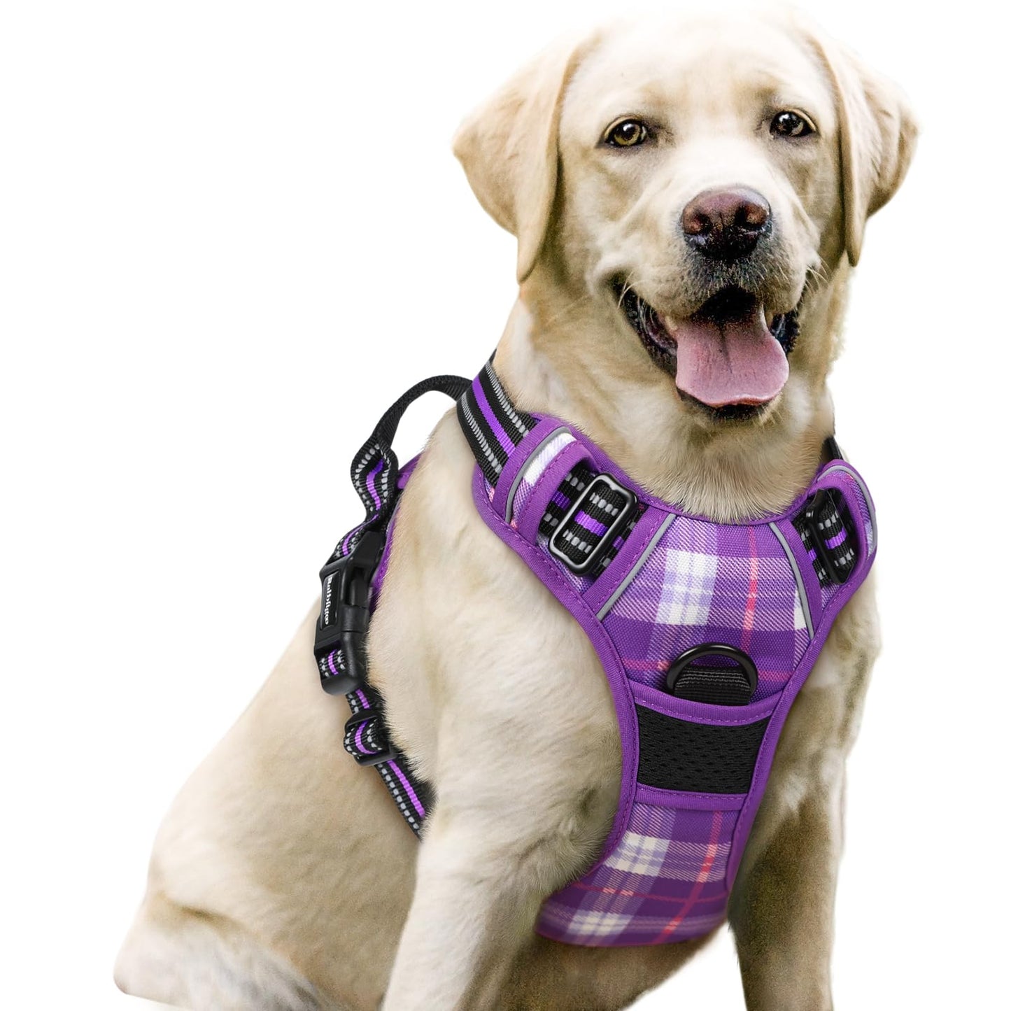 rabbitgoo Dog Harness, No-Pull Pet Harness with 2 Leash Clips, Adjustable Soft Padded Vest, Reflective No-Choke Pet Oxford Vest with Easy Control Handle for Large Dogs, Purple, L