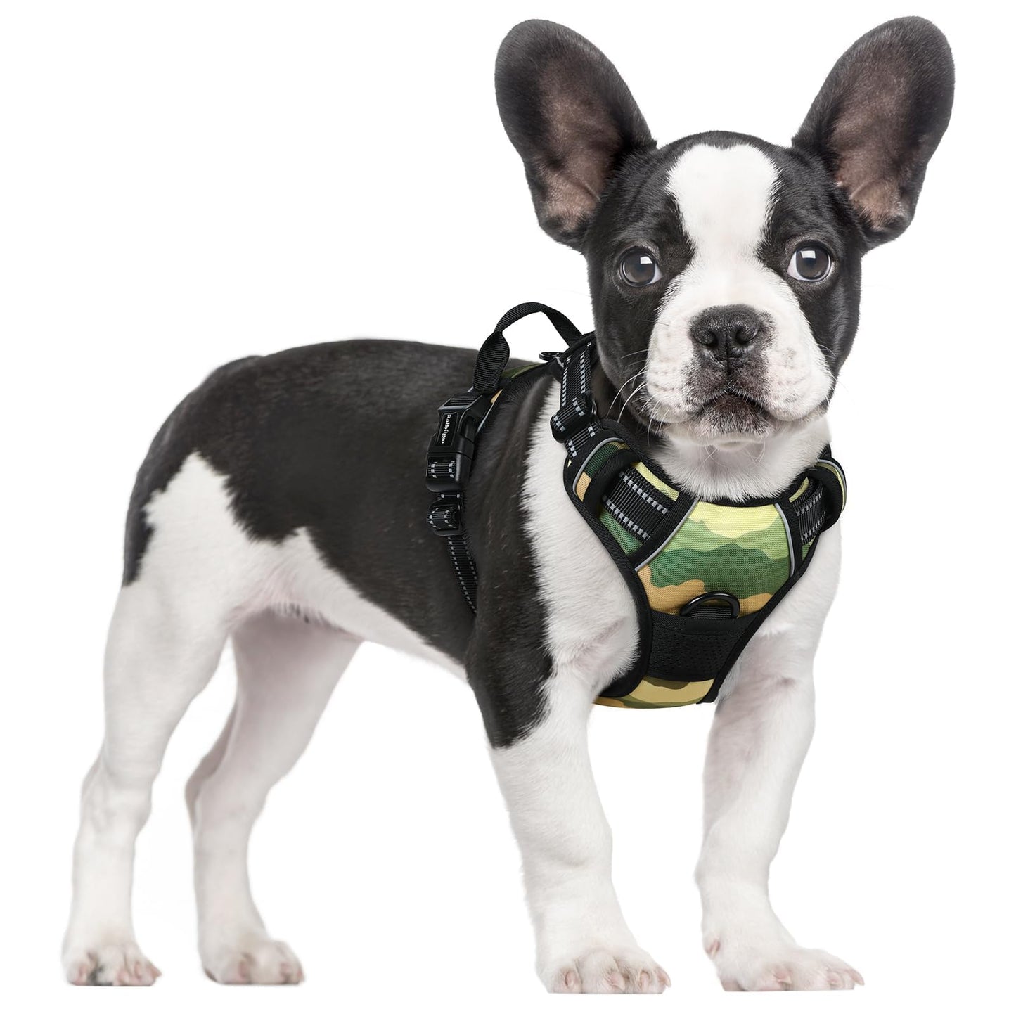 rabbitgoo Dog Harness, No-Pull Pet Harness with 2 Leash Clips, Adjustable Soft Padded Vest, Reflective No-Choke Pet Oxford Vest with Easy Control Handle for Large Dogs, Purple, L