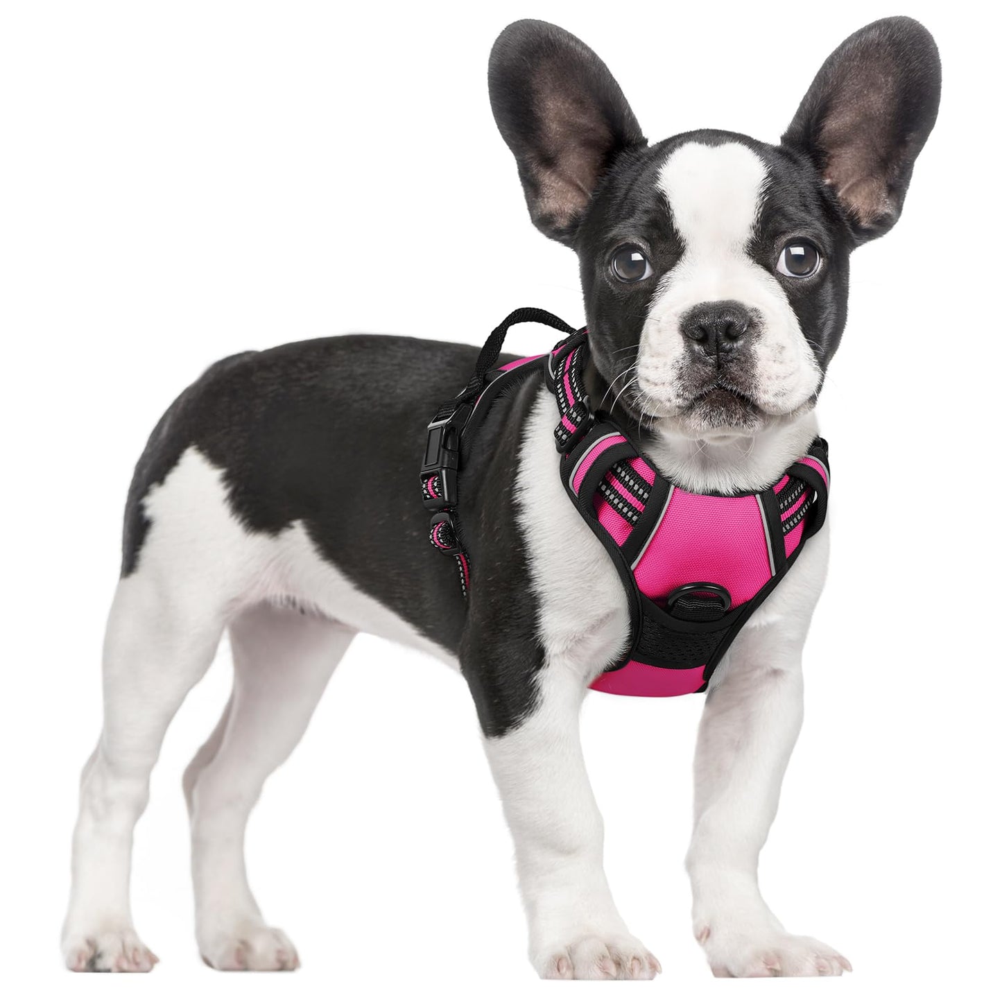 rabbitgoo Dog Harness, No-Pull Pet Harness with 2 Leash Clips, Adjustable Soft Padded Vest, Reflective No-Choke Pet Oxford Vest with Easy Control Handle for Large Dogs, Purple, L