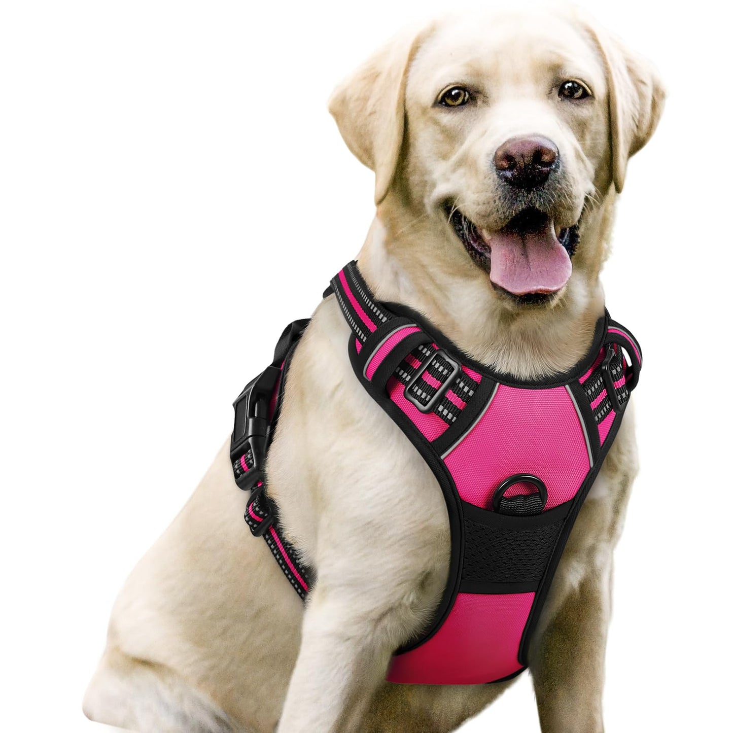 rabbitgoo Dog Harness, No-Pull Pet Harness with 2 Leash Clips, Adjustable Soft Padded Vest, Reflective No-Choke Pet Oxford Vest with Easy Control Handle for Large Dogs, Purple, L