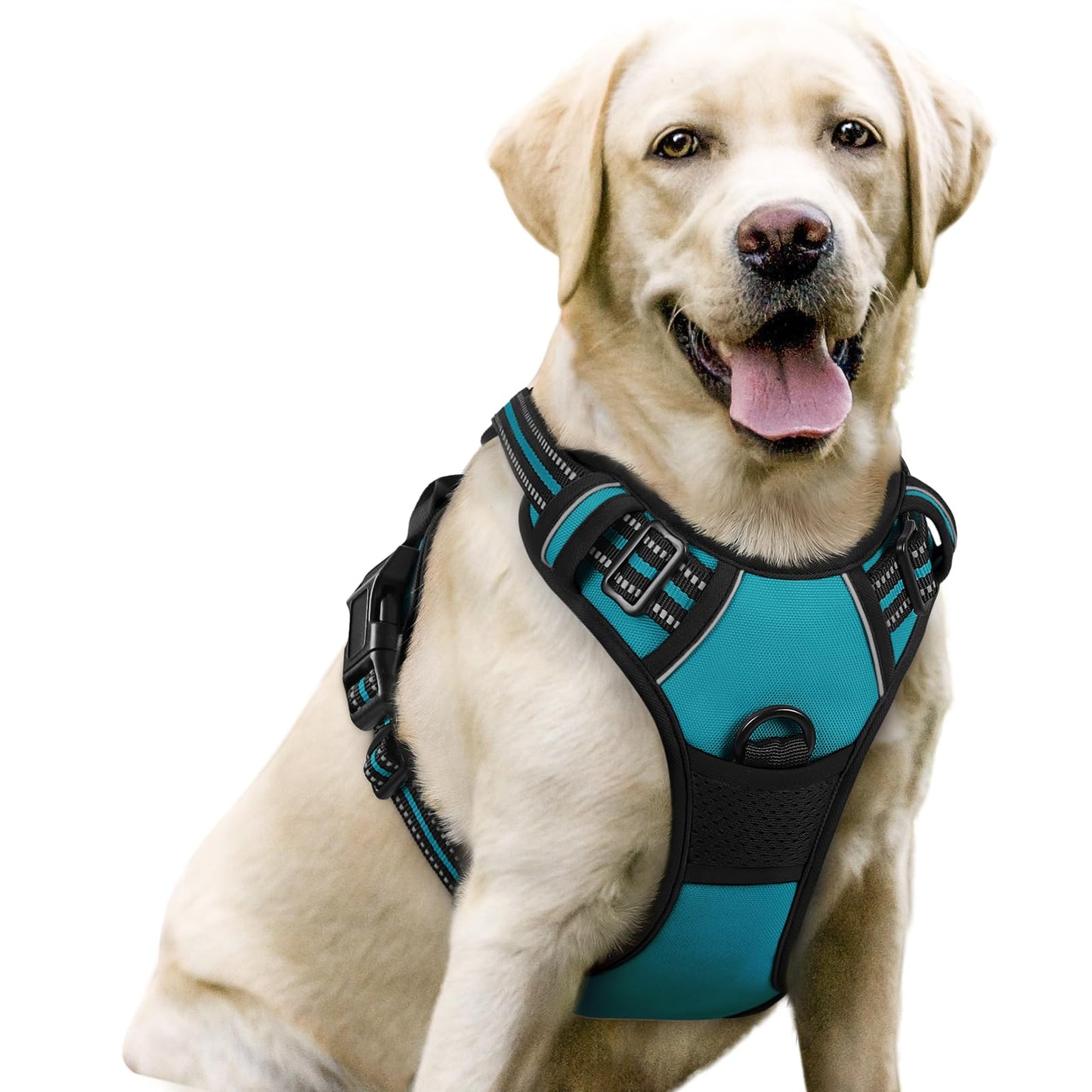 rabbitgoo Dog Harness, No-Pull Pet Harness with 2 Leash Clips, Adjustable Soft Padded Vest, Reflective No-Choke Pet Oxford Vest with Easy Control Handle for Large Dogs, Purple, L