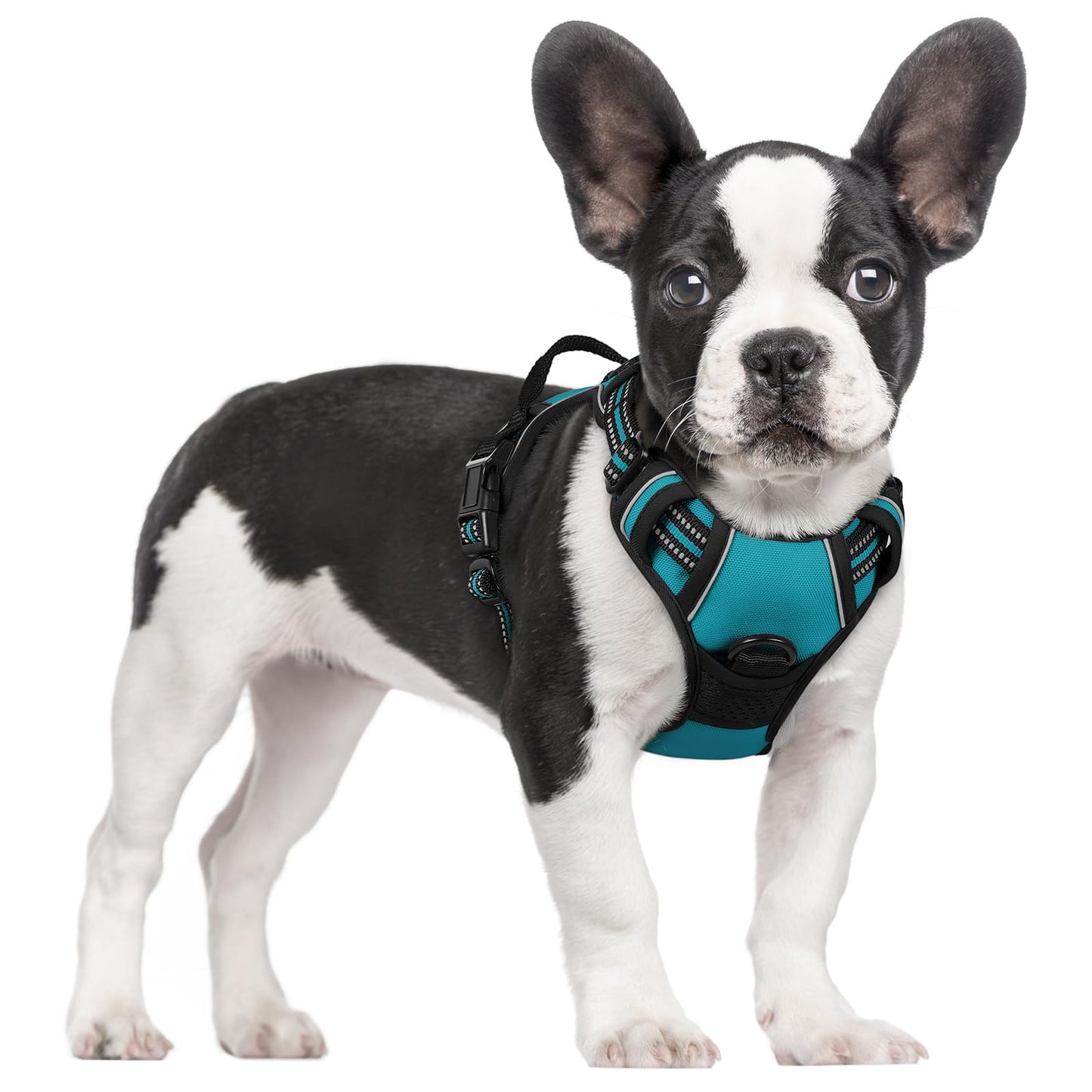 rabbitgoo Dog Harness, No-Pull Pet Harness with 2 Leash Clips, Adjustable Soft Padded Vest, Reflective No-Choke Pet Oxford Vest with Easy Control Handle for Large Dogs, Purple, L