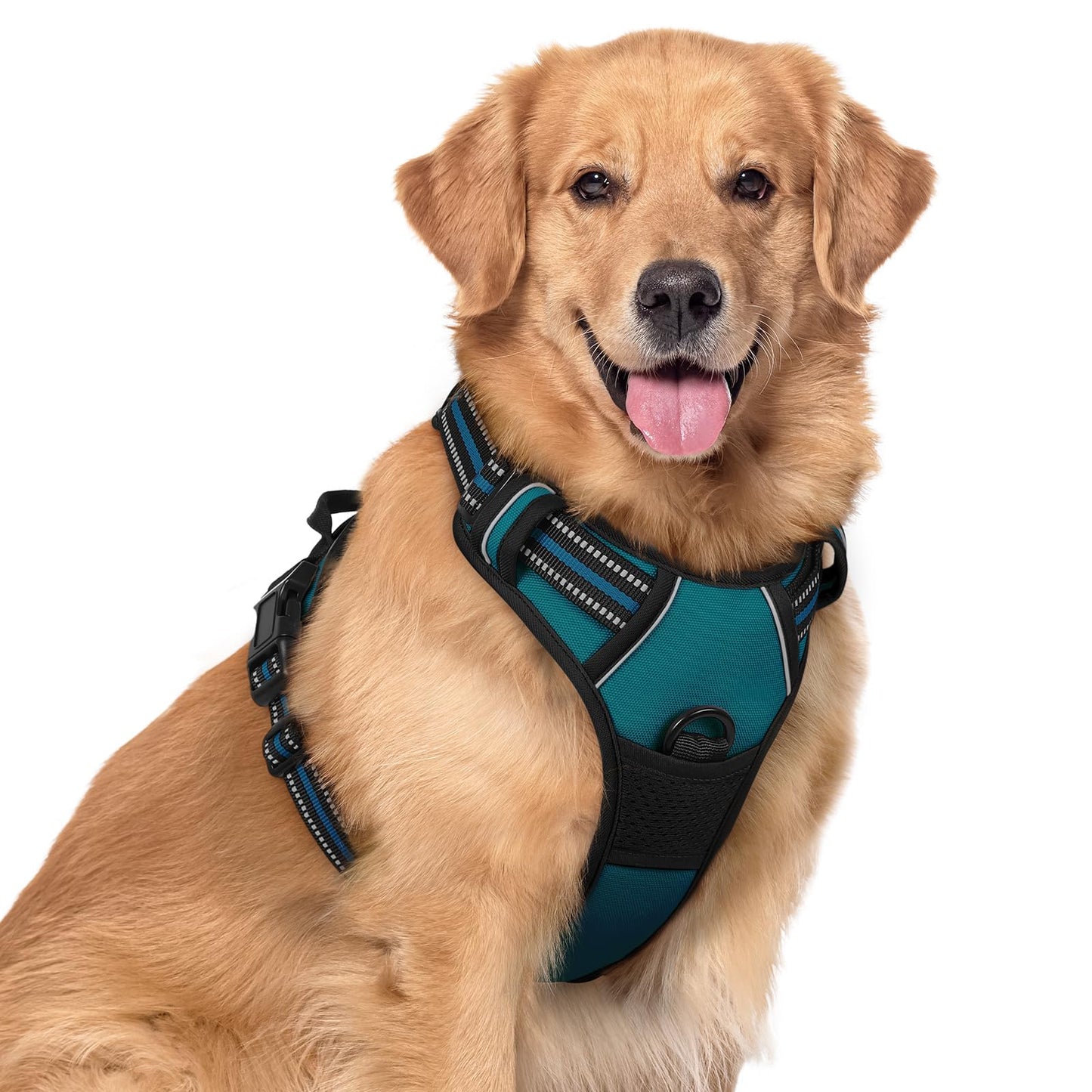 rabbitgoo Dog Harness, No-Pull Pet Harness with 2 Leash Clips, Adjustable Soft Padded Vest, Reflective No-Choke Pet Oxford Vest with Easy Control Handle for Large Dogs, Purple, L