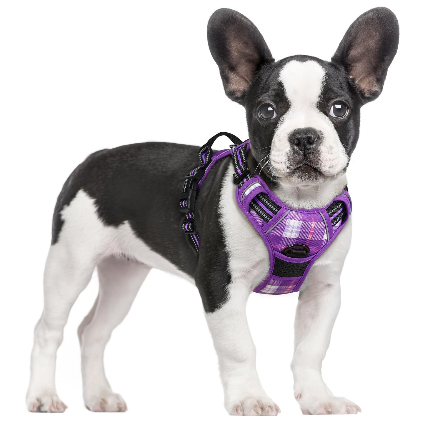 rabbitgoo Dog Harness, No-Pull Pet Harness with 2 Leash Clips, Adjustable Soft Padded Vest, Reflective No-Choke Pet Oxford Vest with Easy Control Handle for Large Dogs, Purple, L