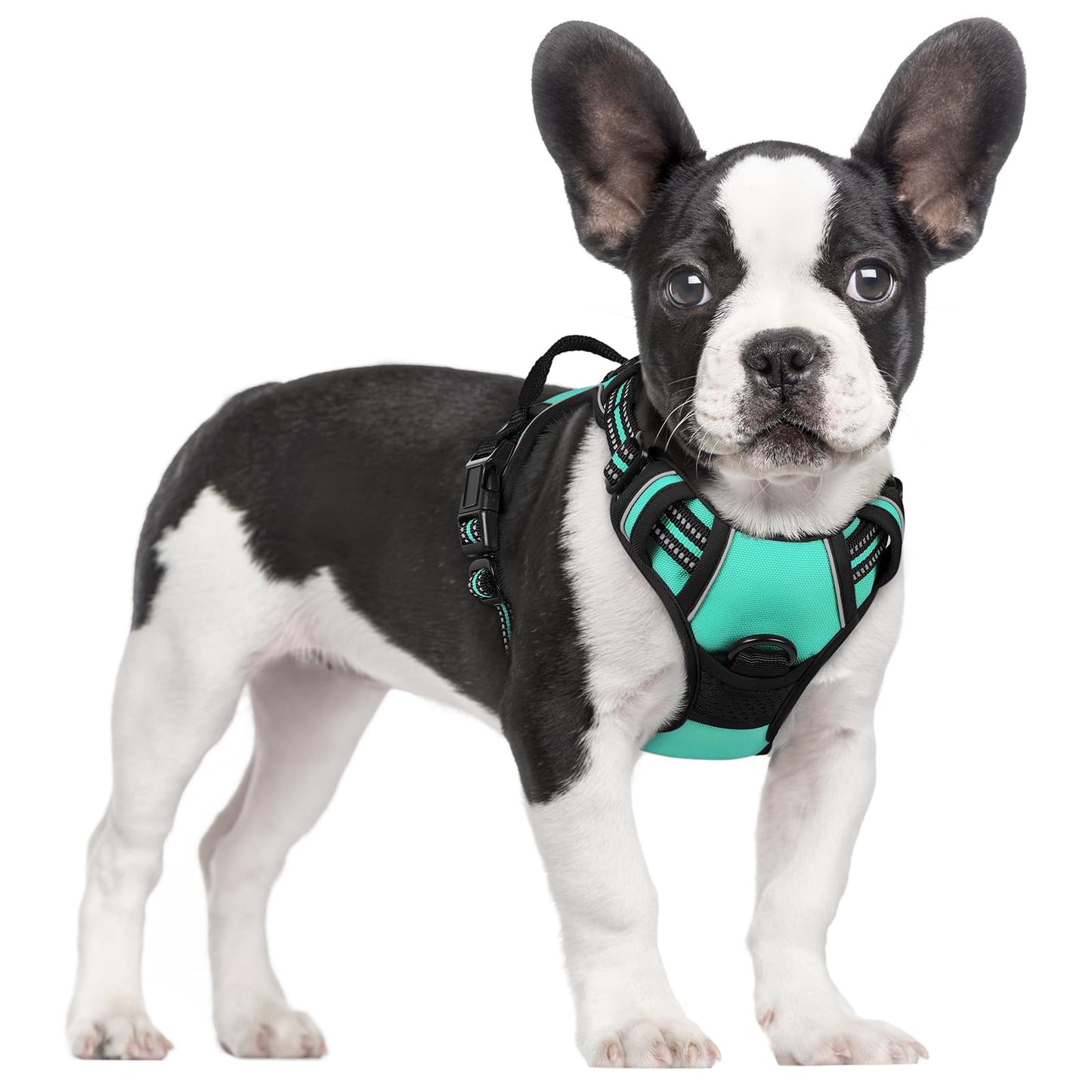 rabbitgoo Dog Harness, No-Pull Pet Harness with 2 Leash Clips, Adjustable Soft Padded Vest, Reflective No-Choke Pet Oxford Vest with Easy Control Handle for Large Dogs, Purple, L