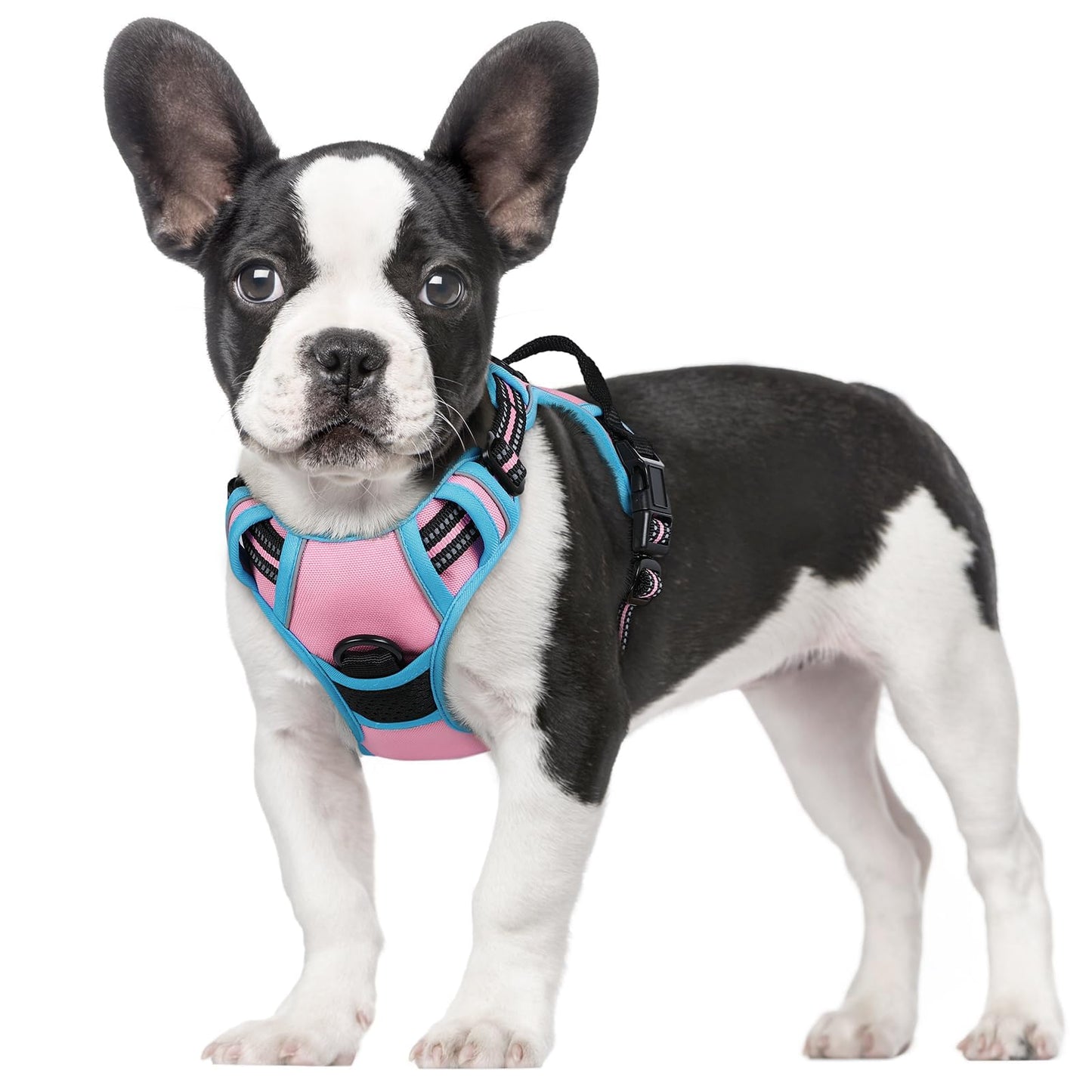 rabbitgoo Dog Harness, No-Pull Pet Harness with 2 Leash Clips, Adjustable Soft Padded Vest, Reflective No-Choke Pet Oxford Vest with Easy Control Handle for Large Dogs, Purple, L