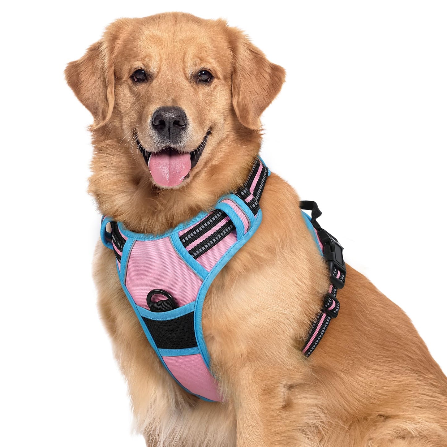 rabbitgoo Dog Harness, No-Pull Pet Harness with 2 Leash Clips, Adjustable Soft Padded Vest, Reflective No-Choke Pet Oxford Vest with Easy Control Handle for Large Dogs, Purple, L