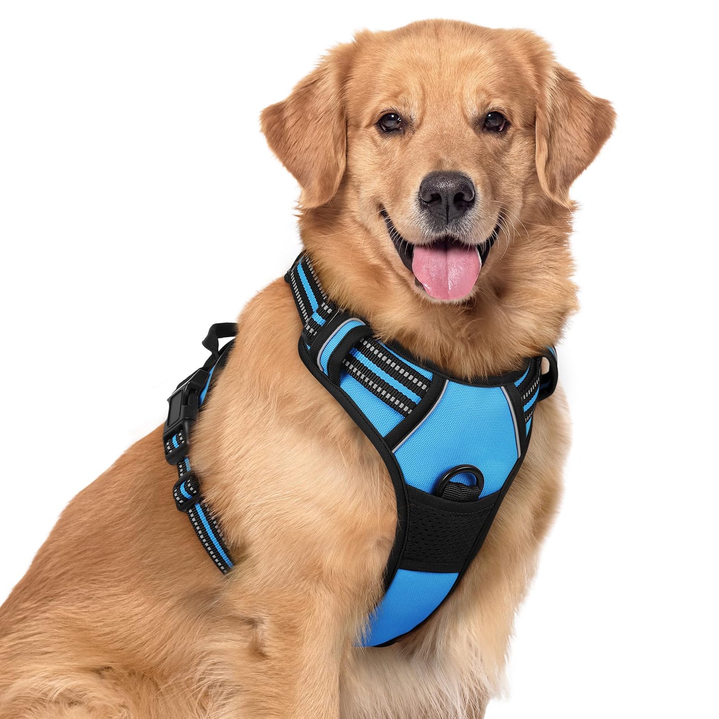 rabbitgoo Dog Harness, No-Pull Pet Harness with 2 Leash Clips, Adjustable Soft Padded Vest, Reflective No-Choke Pet Oxford Vest with Easy Control Handle for Large Dogs, Purple, L