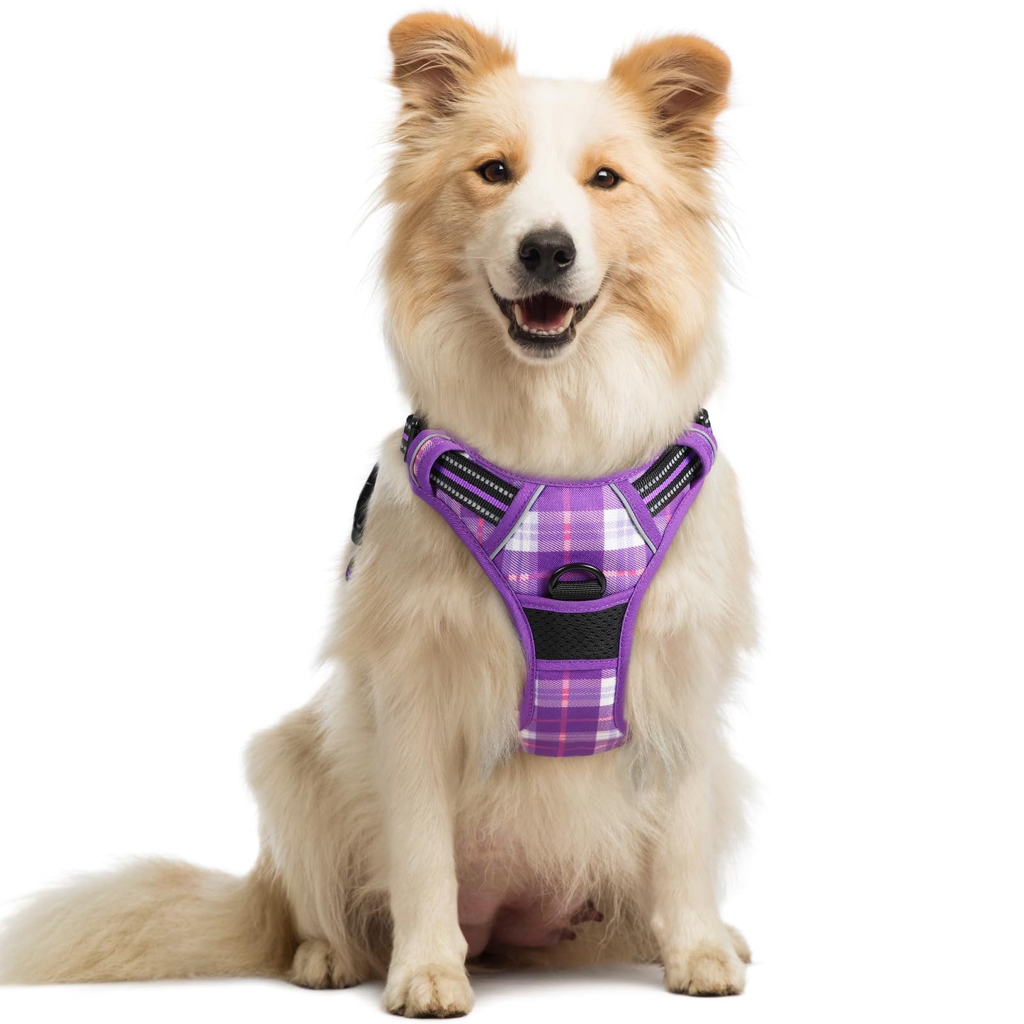 rabbitgoo Dog Harness, No-Pull Pet Harness with 2 Leash Clips, Adjustable Soft Padded Vest, Reflective No-Choke Pet Oxford Vest with Easy Control Handle for Large Dogs, Purple, L