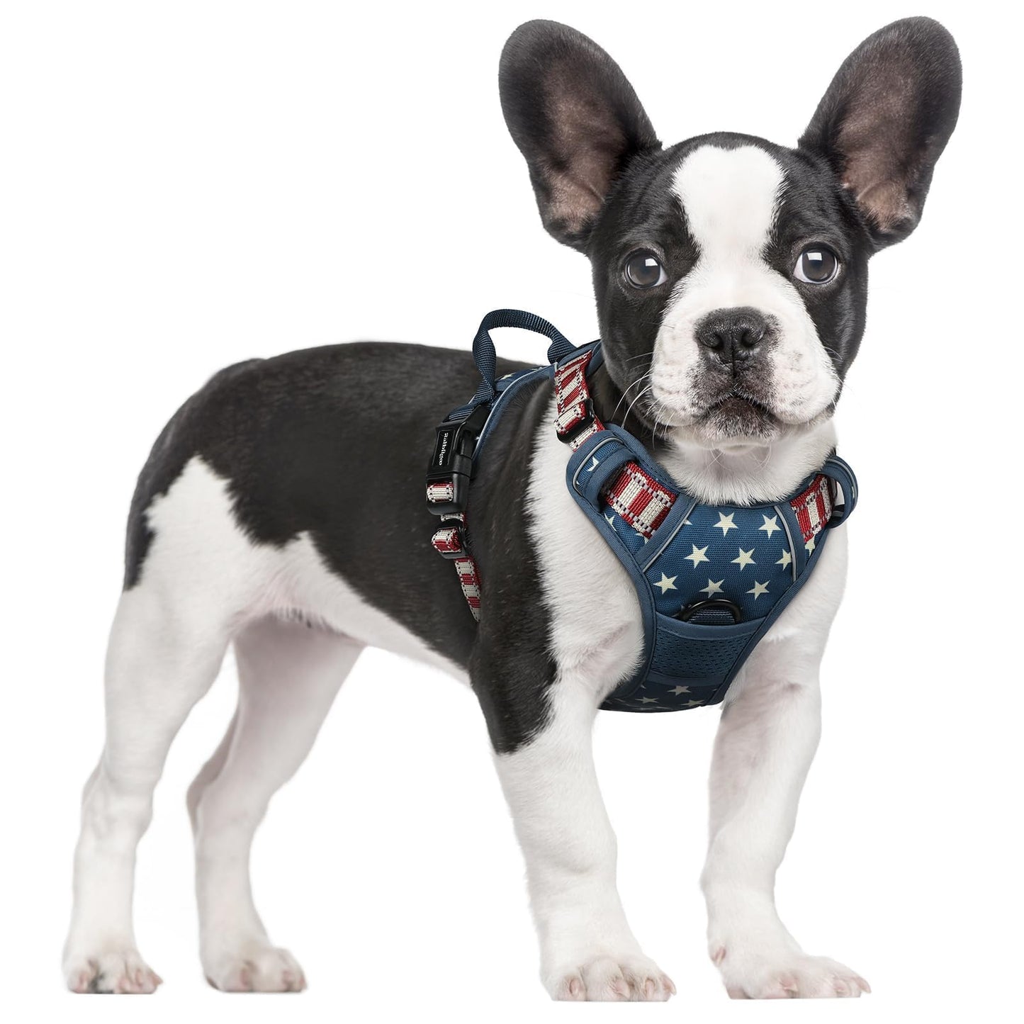 rabbitgoo Dog Harness, No-Pull Pet Harness with 2 Leash Clips, Adjustable Soft Padded Vest, Reflective No-Choke Pet Oxford Vest with Easy Control Handle for Large Dogs, Purple, L