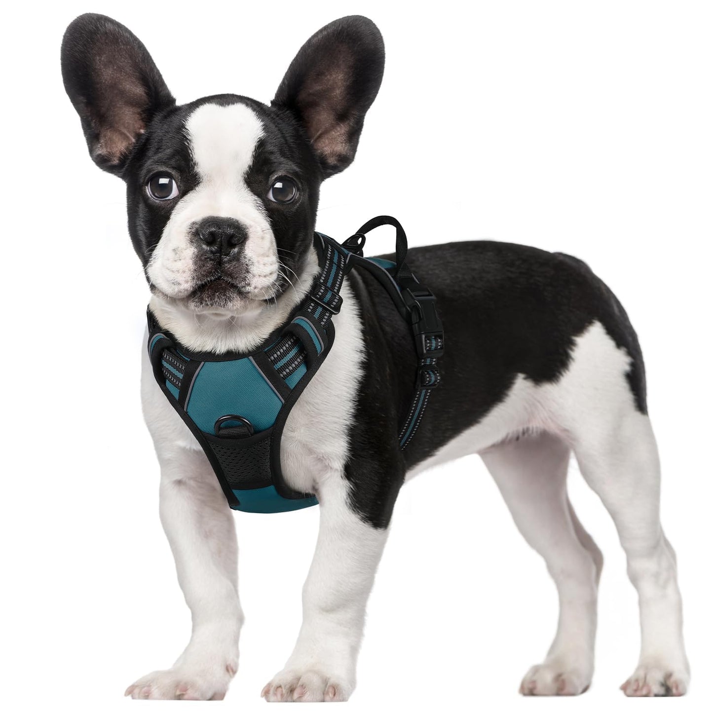 rabbitgoo Dog Harness, No-Pull Pet Harness with 2 Leash Clips, Adjustable Soft Padded Vest, Reflective No-Choke Pet Oxford Vest with Easy Control Handle for Large Dogs, Purple, L