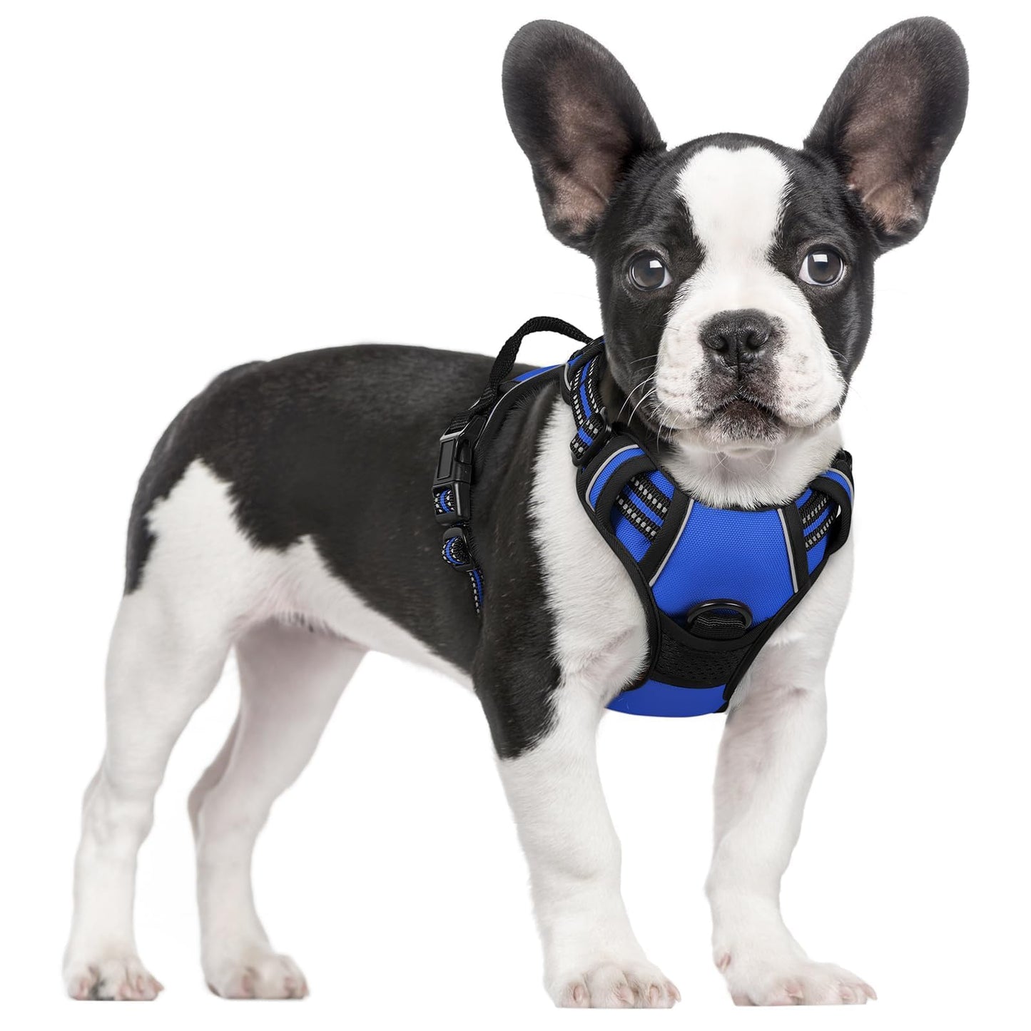 rabbitgoo Dog Harness, No-Pull Pet Harness with 2 Leash Clips, Adjustable Soft Padded Vest, Reflective No-Choke Pet Oxford Vest with Easy Control Handle for Large Dogs, Purple, L