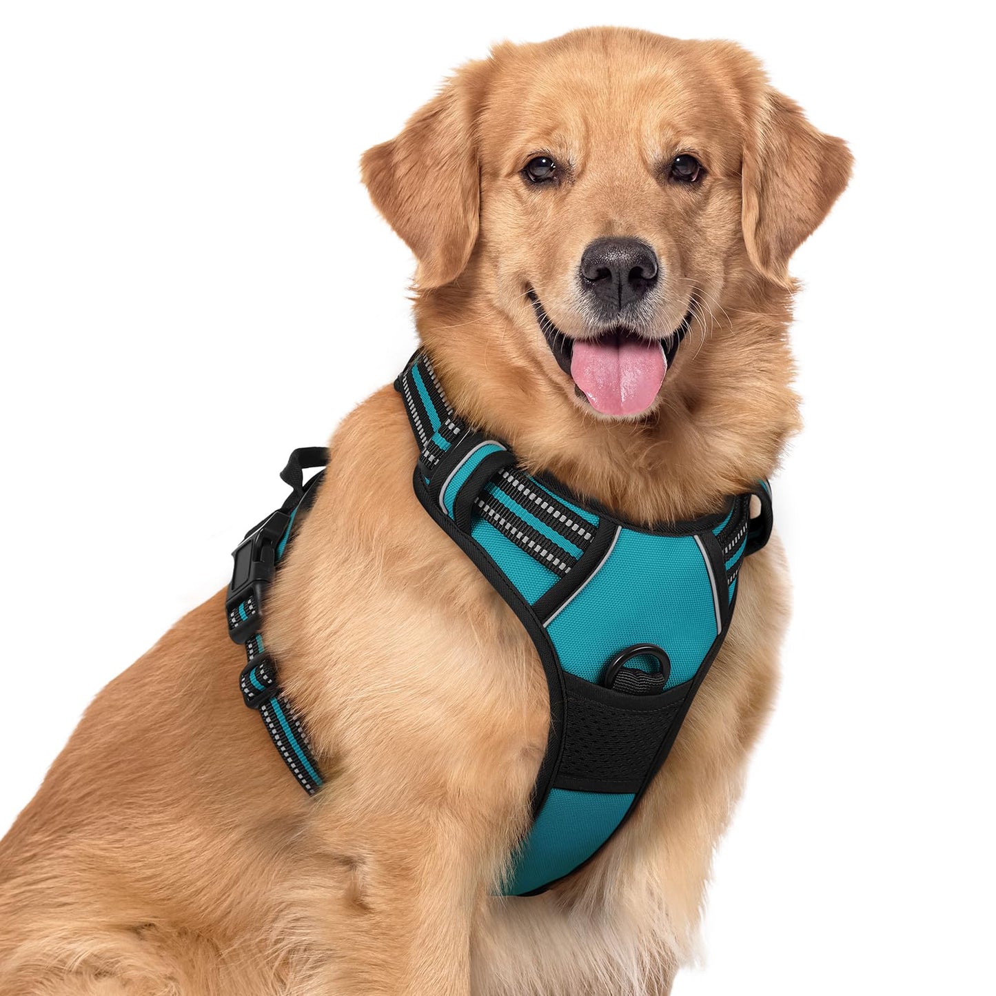 rabbitgoo Dog Harness, No-Pull Pet Harness with 2 Leash Clips, Adjustable Soft Padded Vest, Reflective No-Choke Pet Oxford Vest with Easy Control Handle for Large Dogs, Purple, L