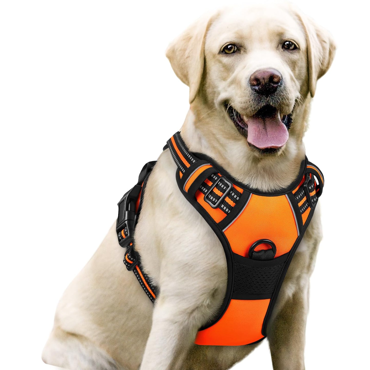 rabbitgoo Dog Harness, No-Pull Pet Harness with 2 Leash Clips, Adjustable Soft Padded Vest, Reflective No-Choke Pet Oxford Vest with Easy Control Handle for Large Dogs, Purple, L