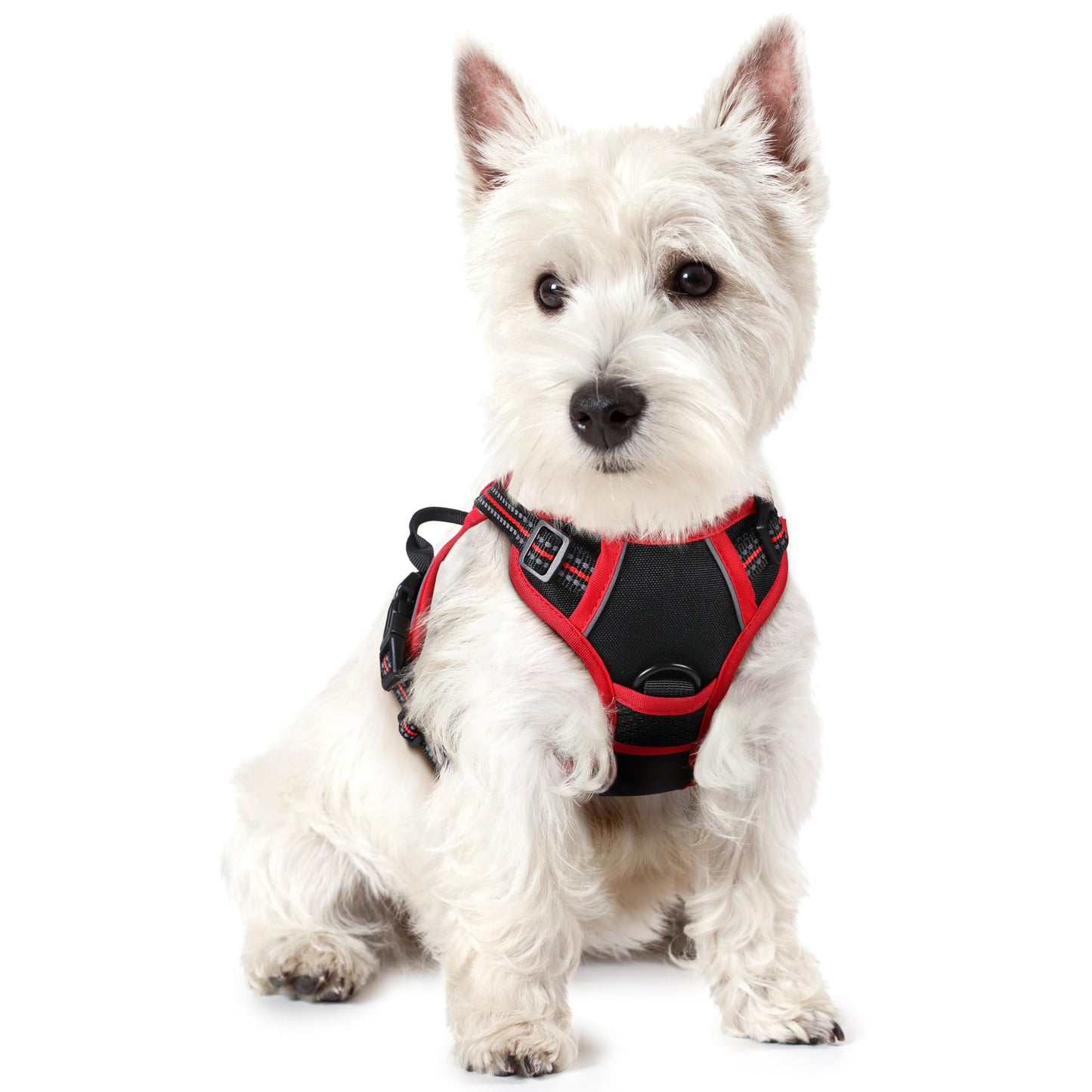 rabbitgoo Dog Harness, No-Pull Pet Harness with 2 Leash Clips, Adjustable Soft Padded Vest, Reflective No-Choke Pet Oxford Vest with Easy Control Handle for Large Dogs, Purple, L
