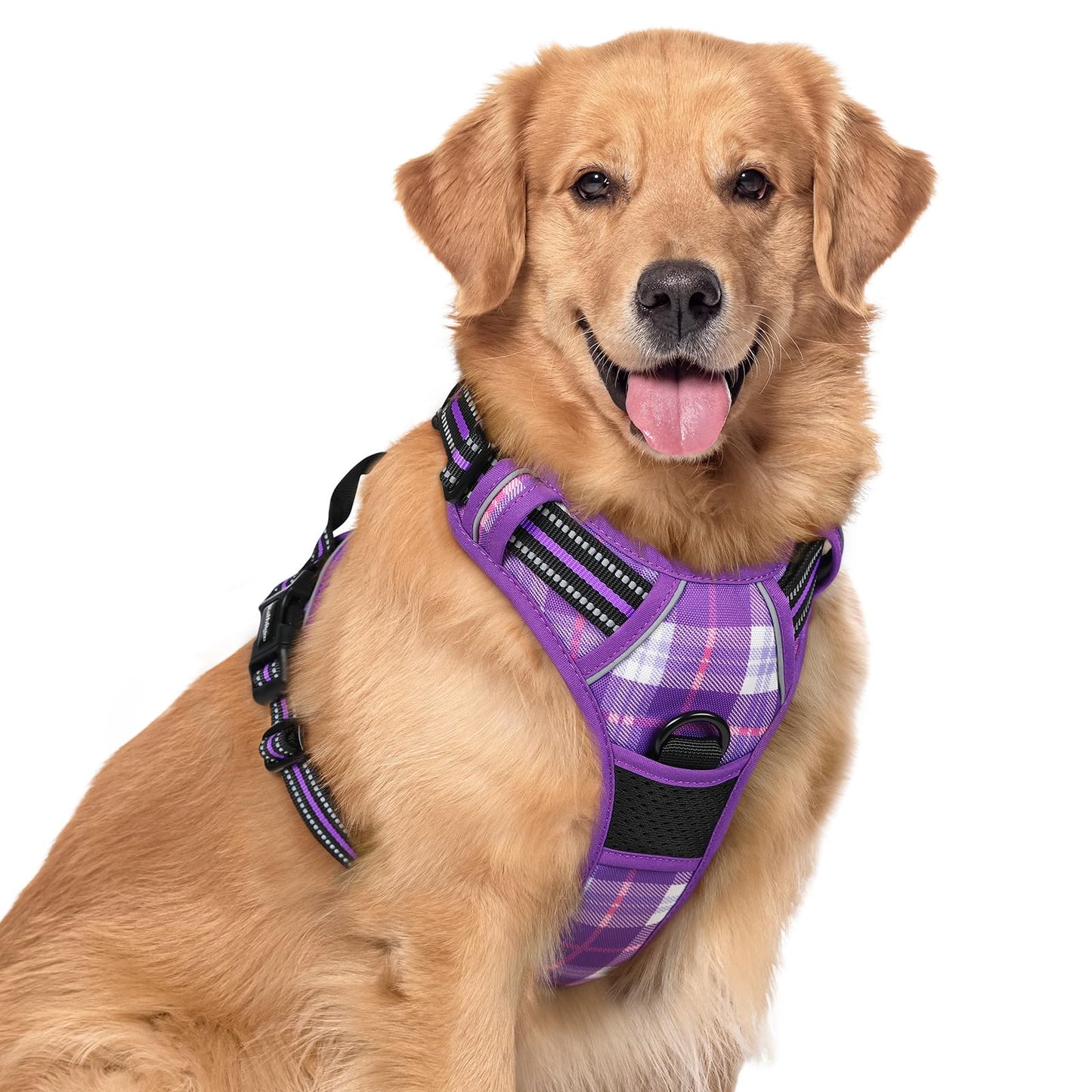 rabbitgoo Dog Harness, No-Pull Pet Harness with 2 Leash Clips, Adjustable Soft Padded Vest, Reflective No-Choke Pet Oxford Vest with Easy Control Handle for Large Dogs, Purple, L