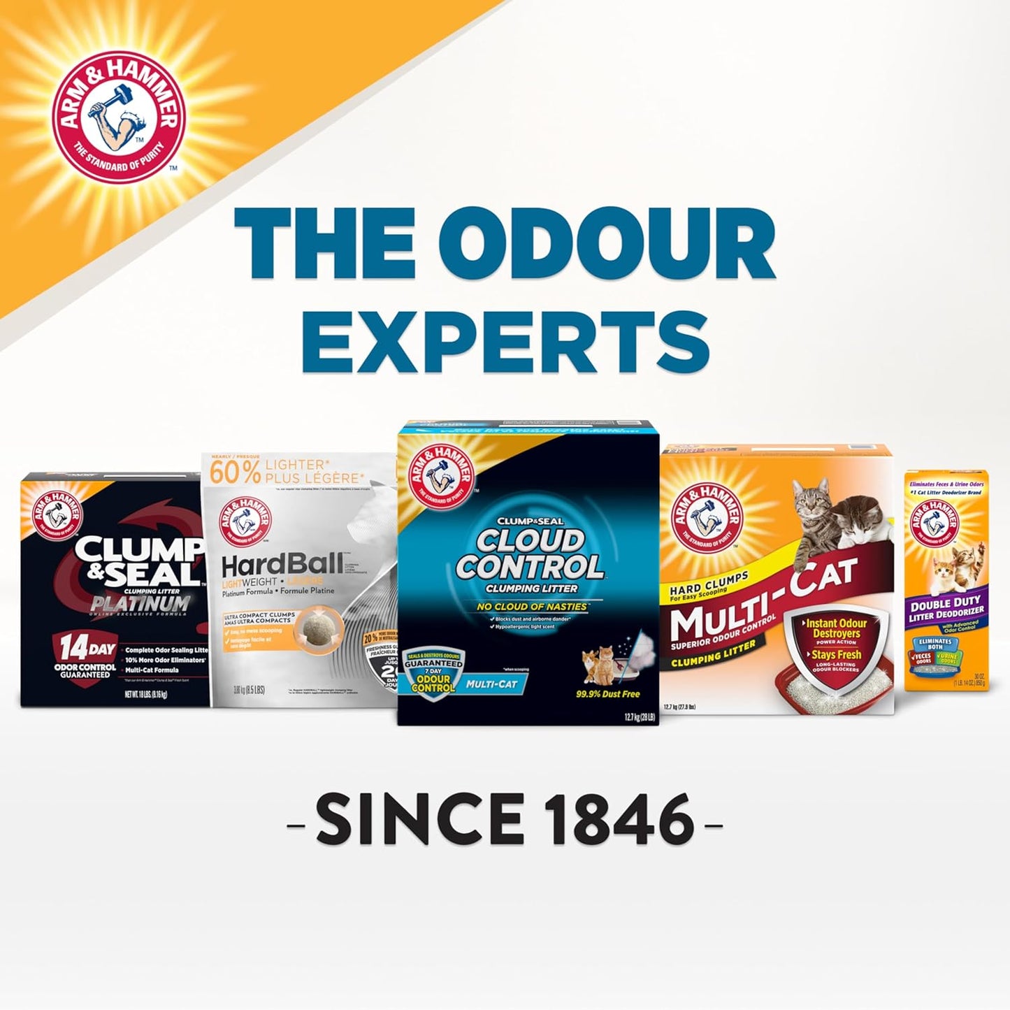 Arm & Hammer Slide Clumping Cat Litter — 12.7 kg