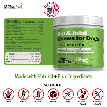 Deley Naturals Hip & Joint Supplement for Dogs — 120 Chews