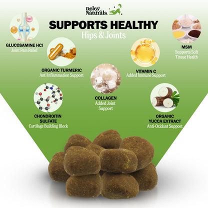 Deley Naturals Hip & Joint Supplement for Dogs — 120 Chews