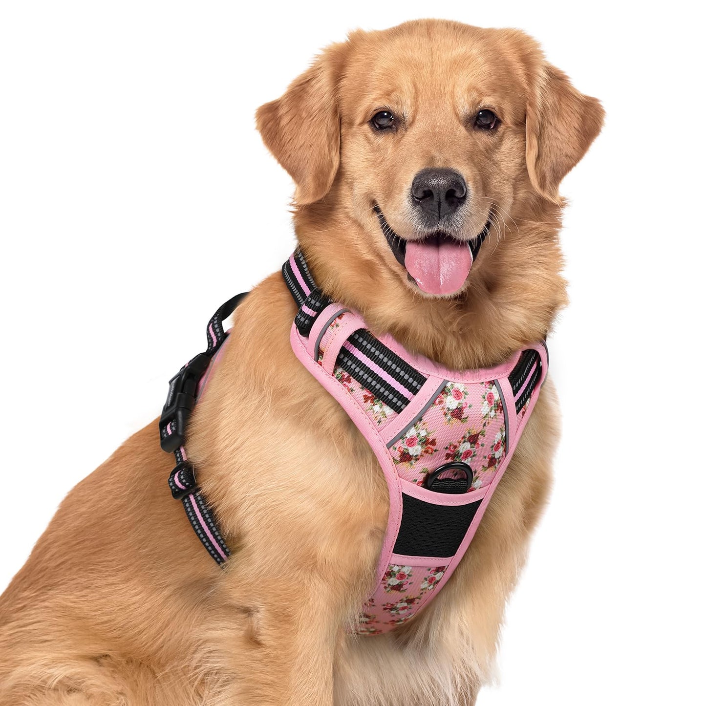 rabbitgoo Dog Harness, No-Pull Pet Harness with 2 Leash Clips, Adjustable Soft Padded Vest, Reflective No-Choke Pet Oxford Vest with Easy Control Handle for Large Dogs, Purple, L