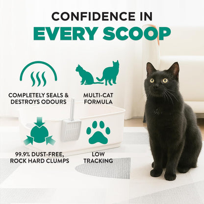 Arm & Hammer Slide Clumping Cat Litter — 12.7 kg