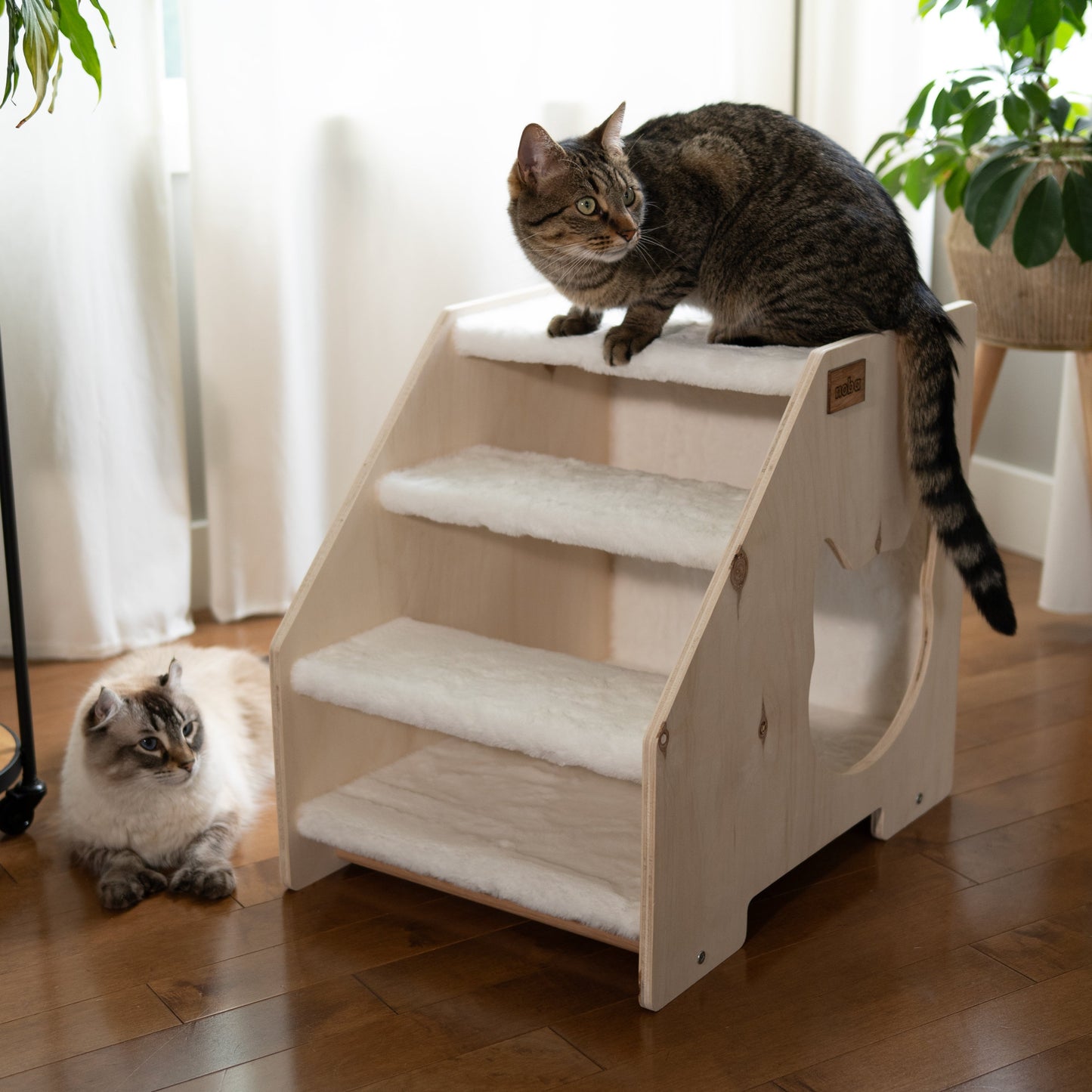 The Stairs Hideout