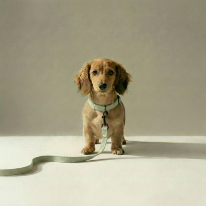 Tweed Leash