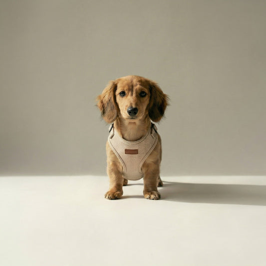 Tweed Harness